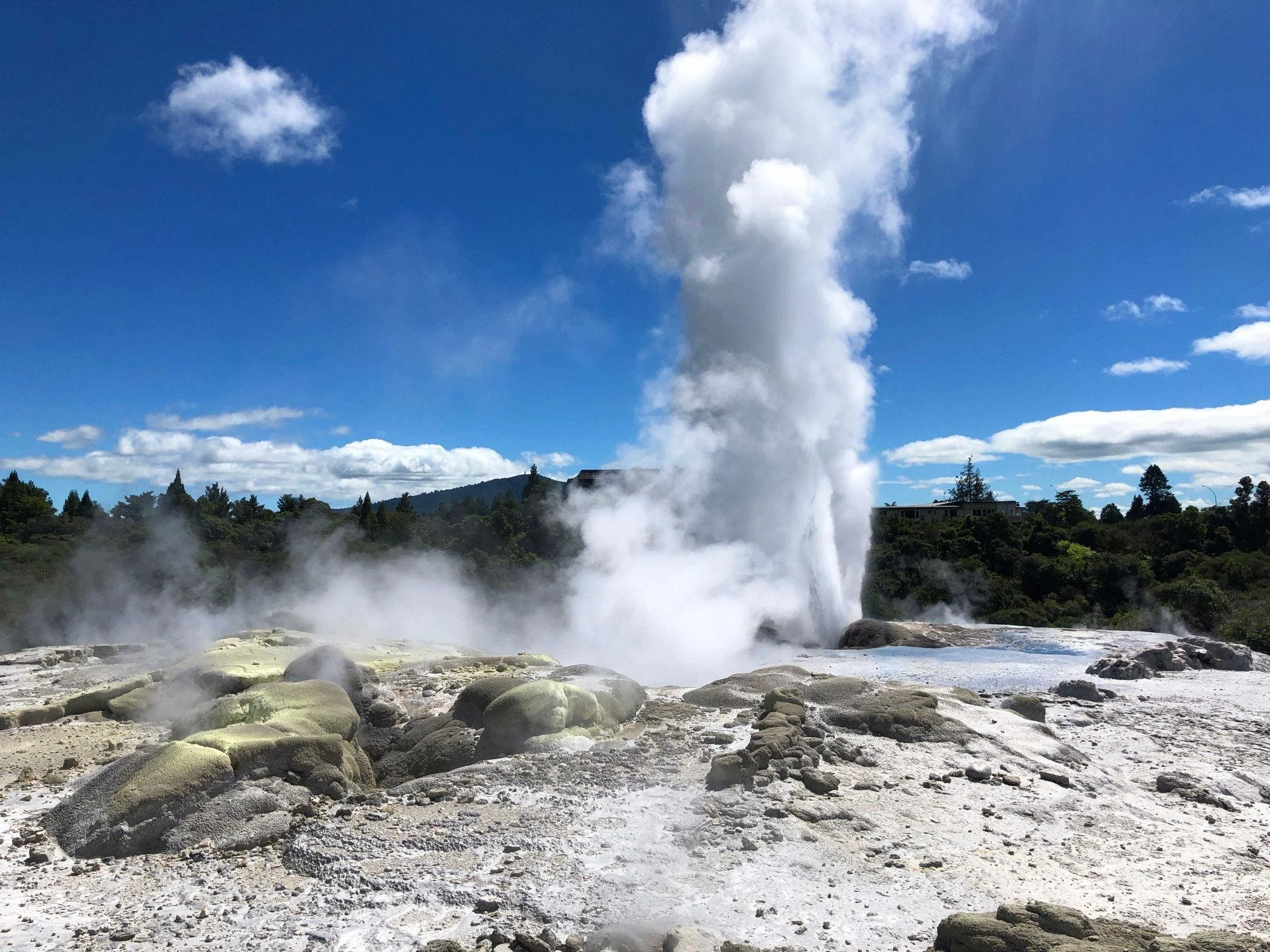 Rotorua Geothermal - 4D3N