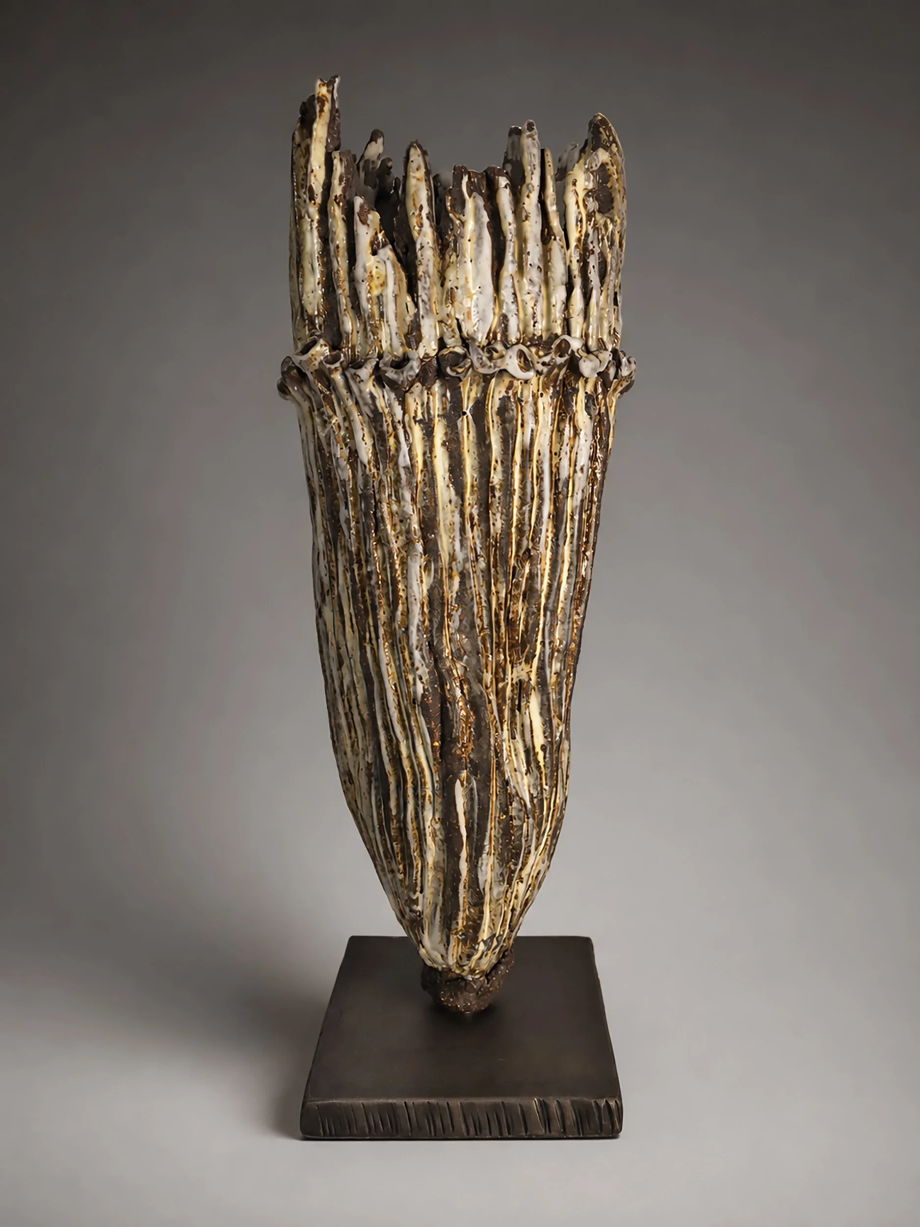 Equisetum II