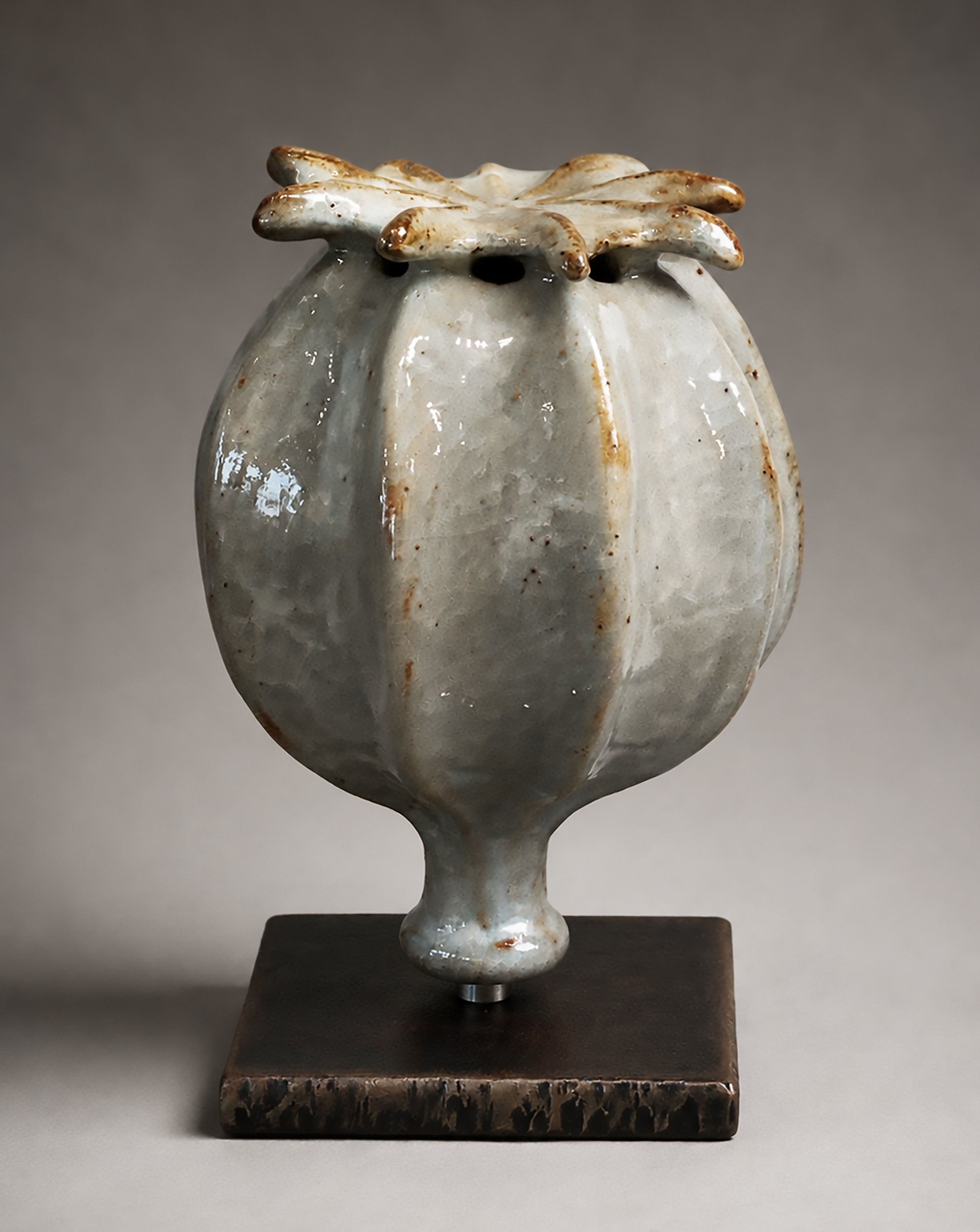 Papaver IV
