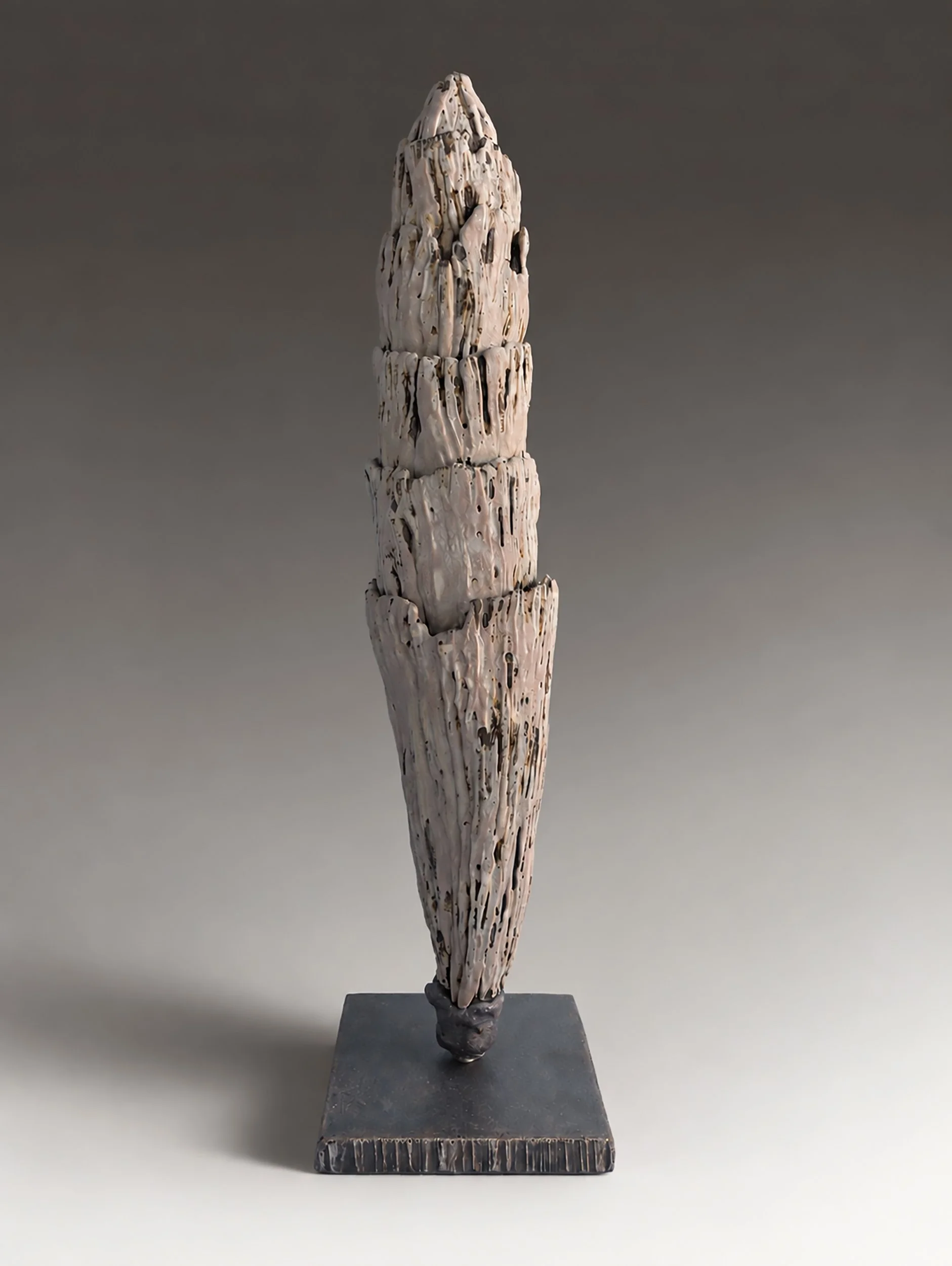 Equisetum III