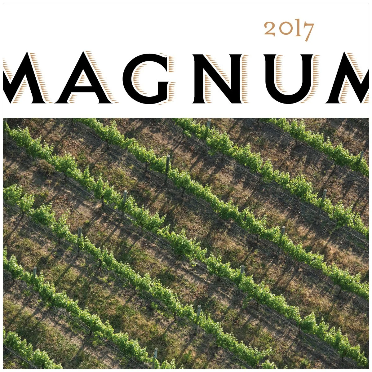 Magnum 2017 Cover.jpg