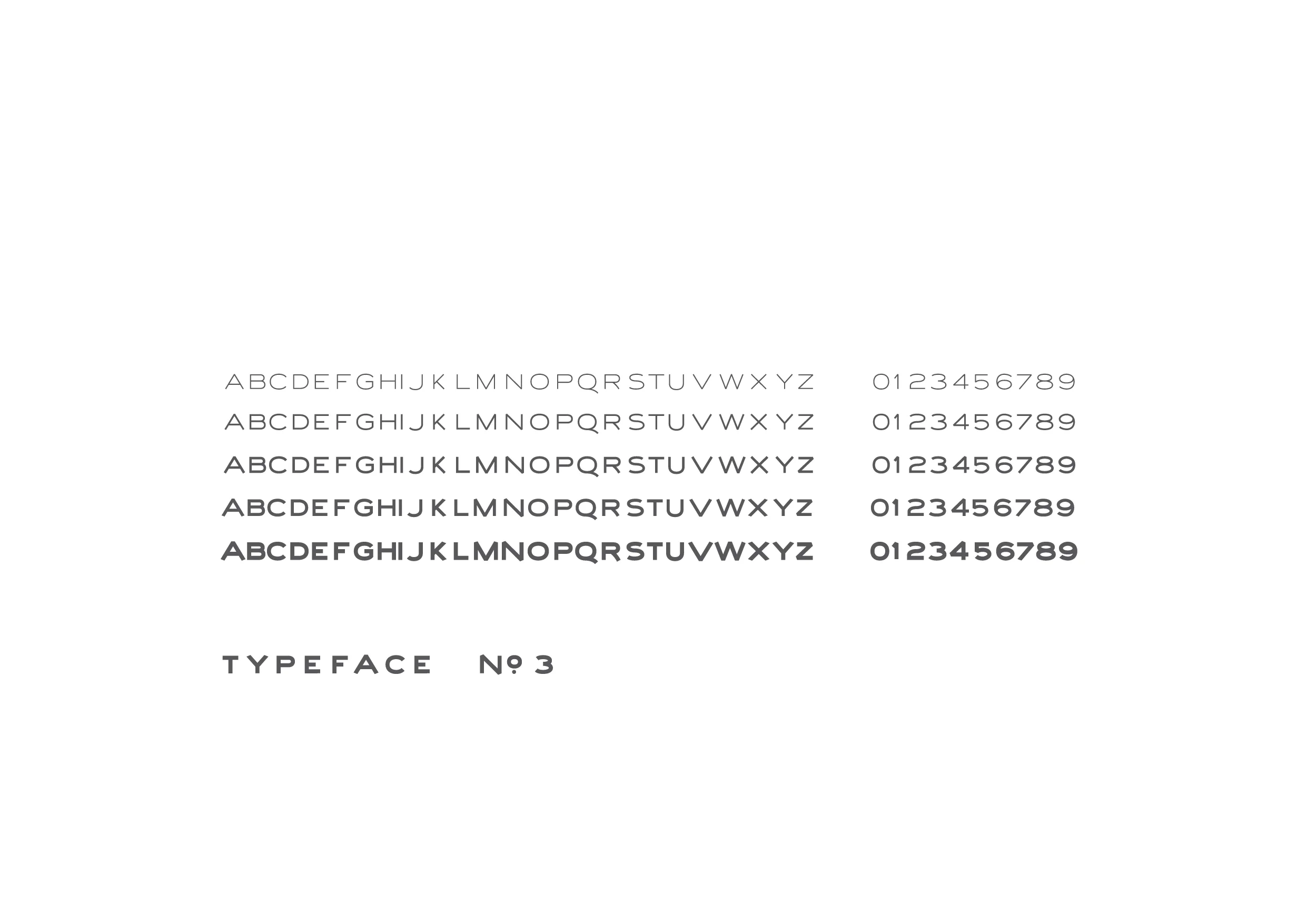 WEB TFNo.3.jpg