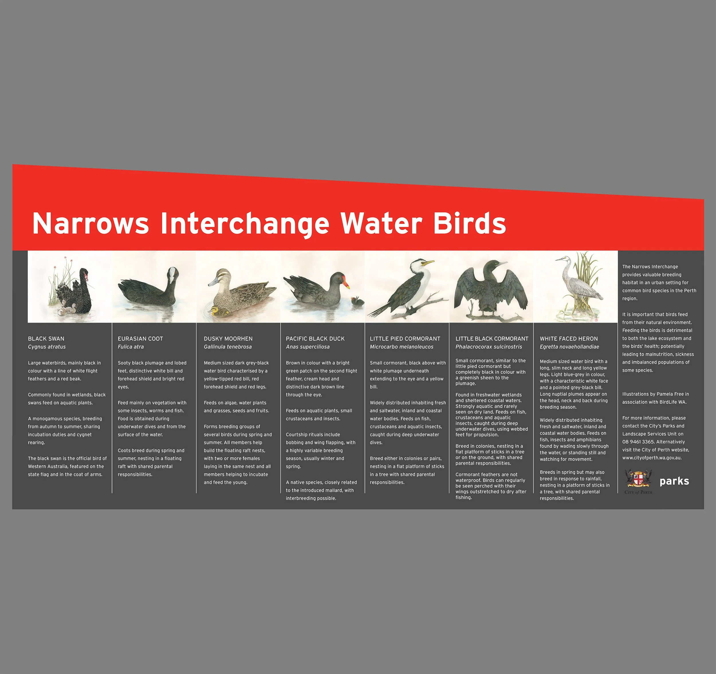 COP Narrows Birds Sign-01.jpg