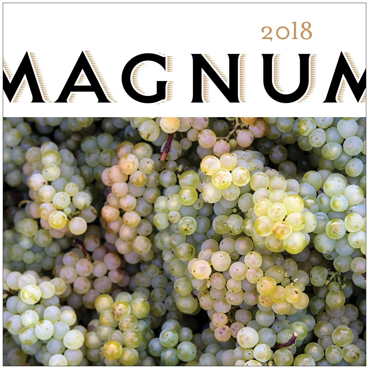 Magnum 2018 Cover.jpg