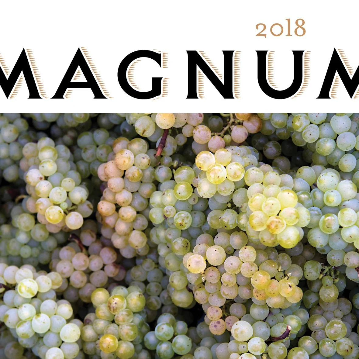 Magnum 2018 Cover.jpg
