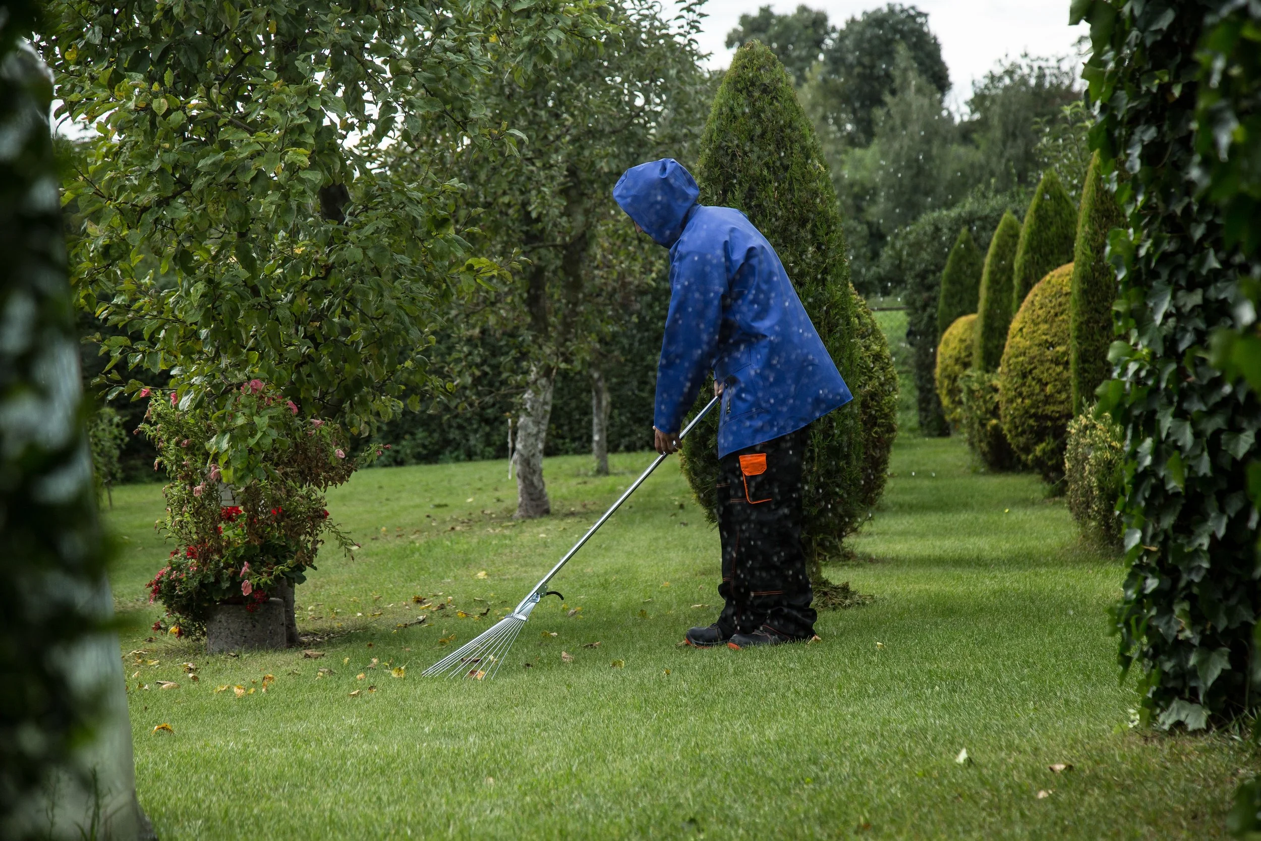 lawn care.jpg