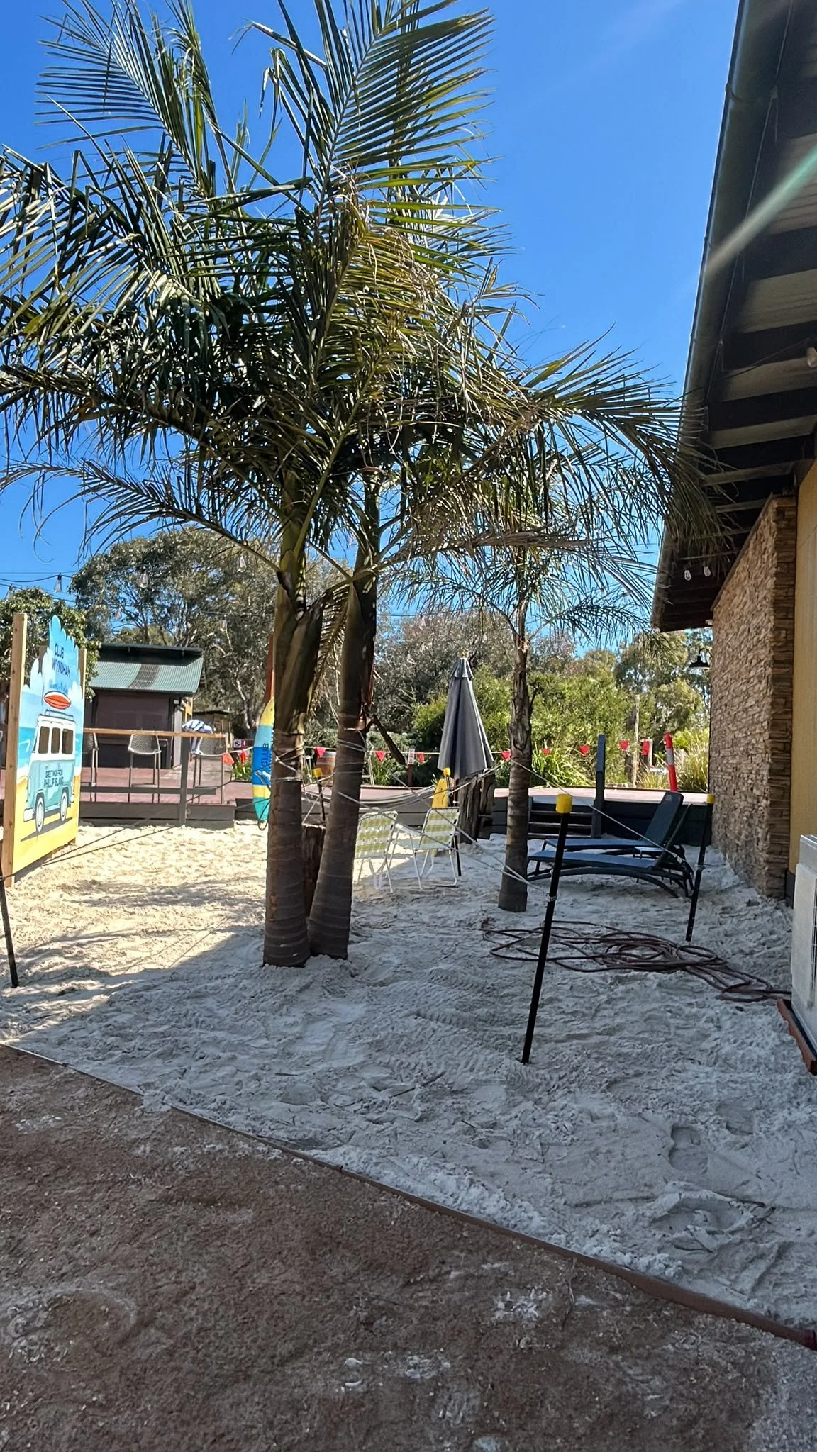A sandy outdoor area with a large palm tree, some lounge chairs, a closed umbrella, and colorful string lights. There are additional trees and greenery in the background, and a part of a brick building on the right side.