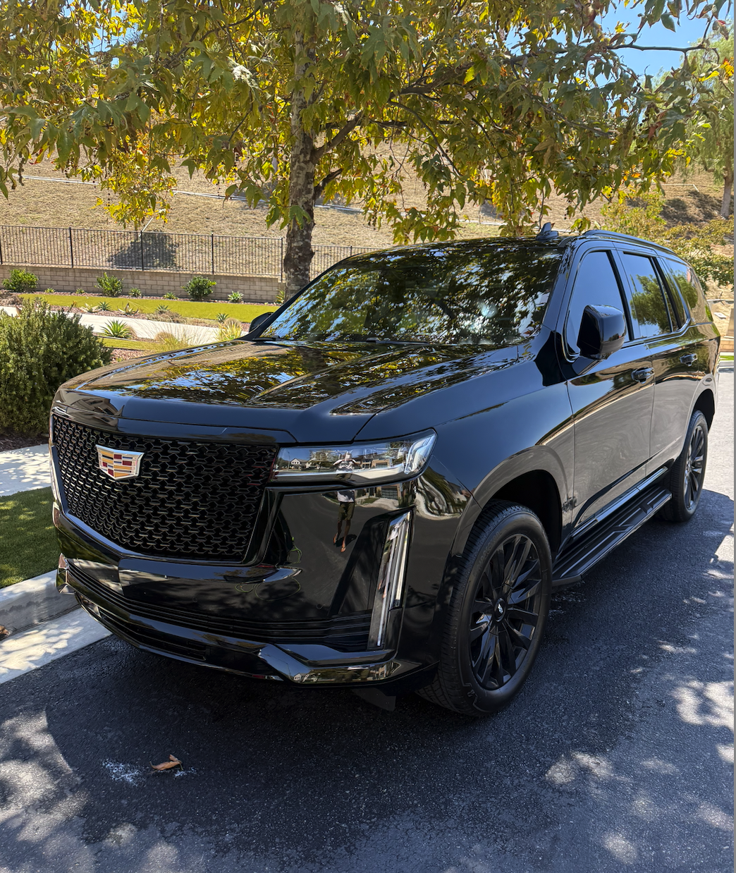 A black Cadillac SUV parked on a driveway under a tree with green leaves, with a background of a stone wall, greenery, and a sunny sky.