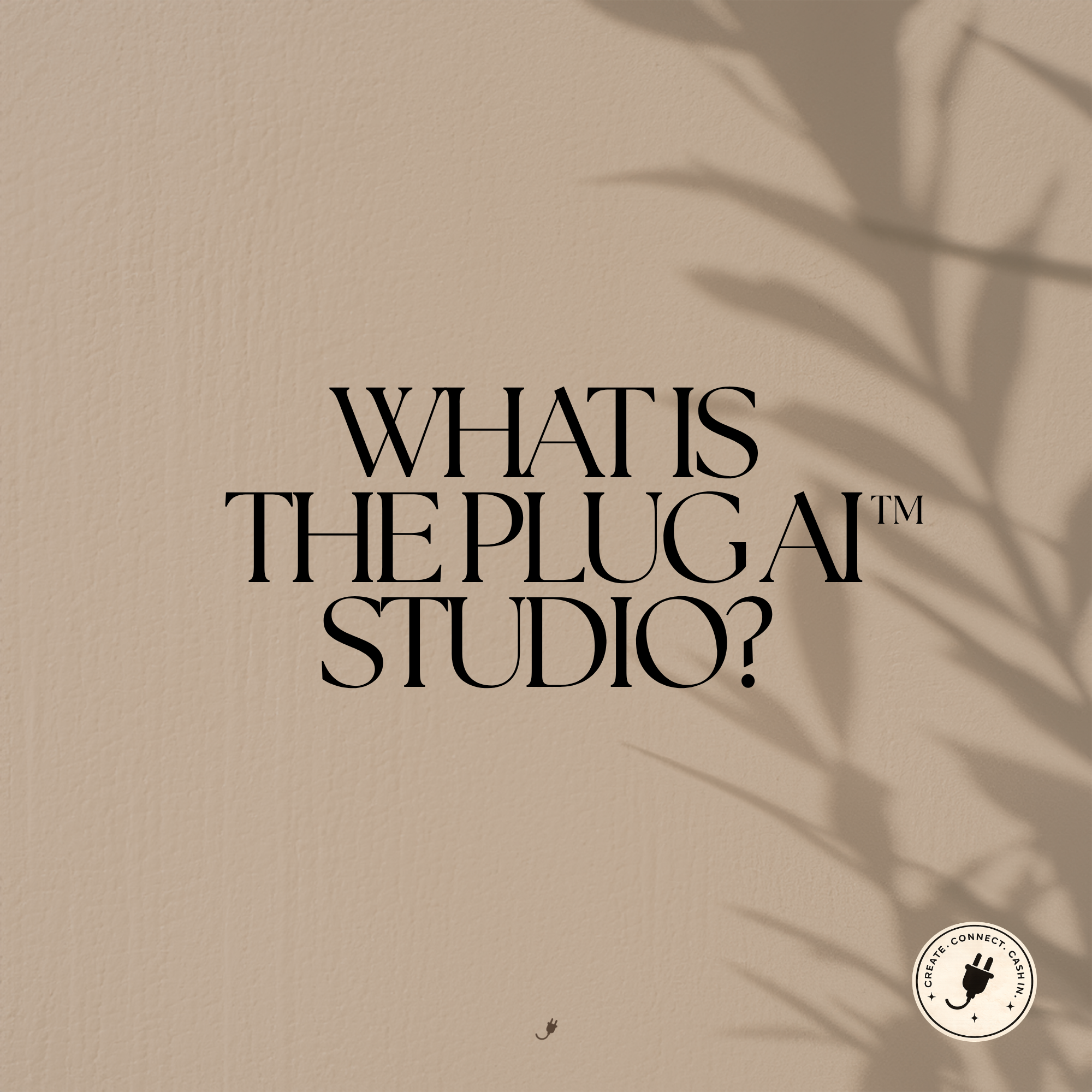 Close-up of a beige textured surface with a shadow of a plant leaf on the right side and the partial text "WHAT IS THE PLUG" in large black font. A circular logo at the bottom right corner features a plug icon and words around the edge.