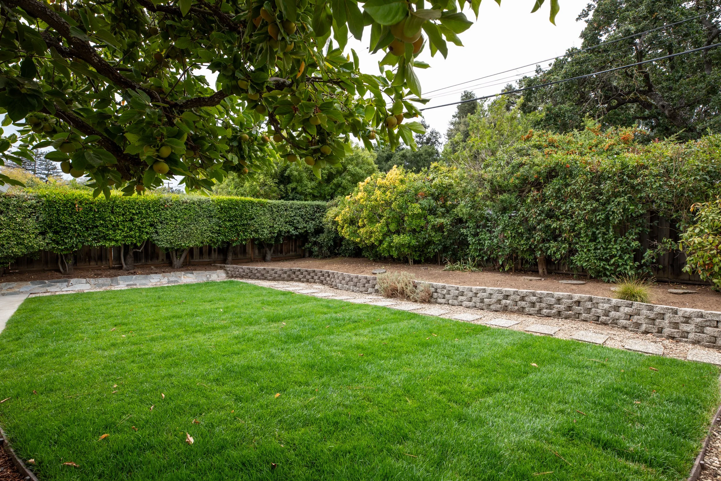 32-Deodara_Matt_Anello-7668-MLS.jpg