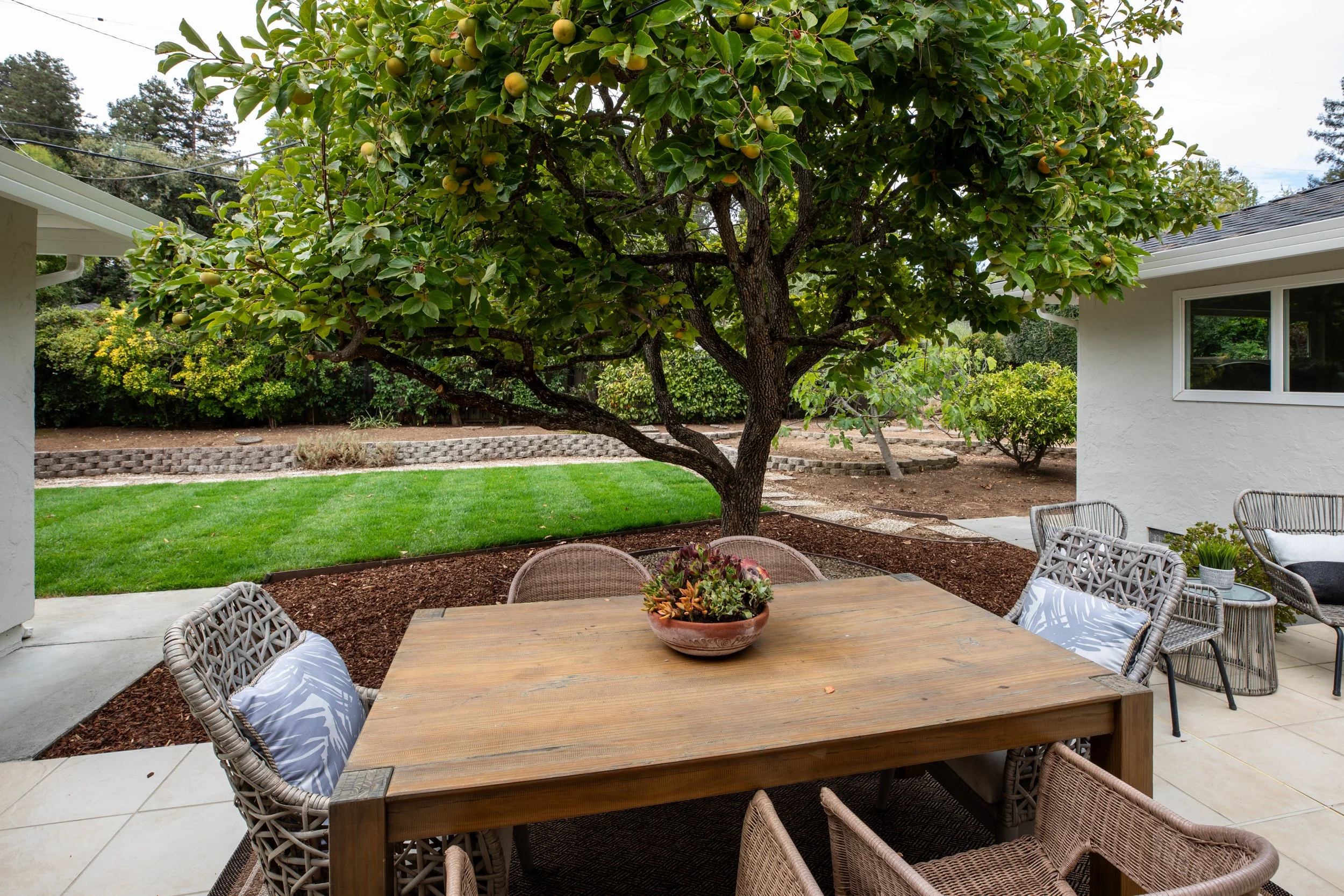 26-Deodara_Matt_Anello-7660-MLS.jpg