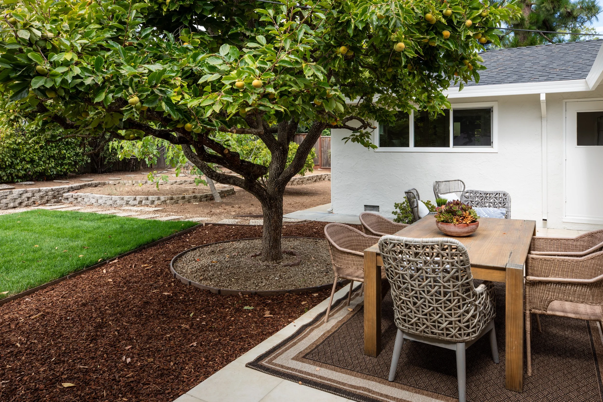 25-Deodara_Matt_Anello-7617-MLS.jpg