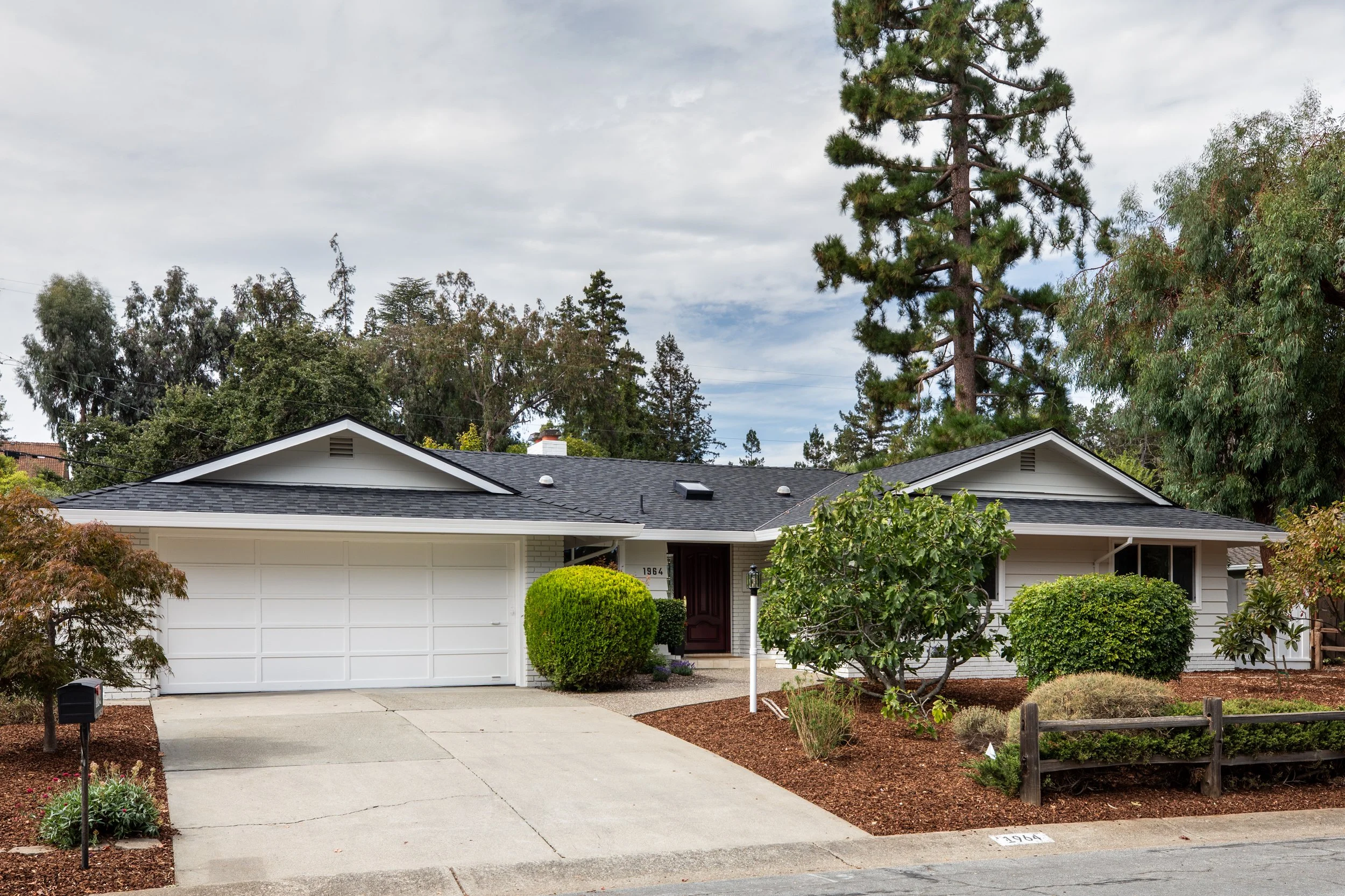 1-Deodara_Matt_Anello-7545-MLS.jpg