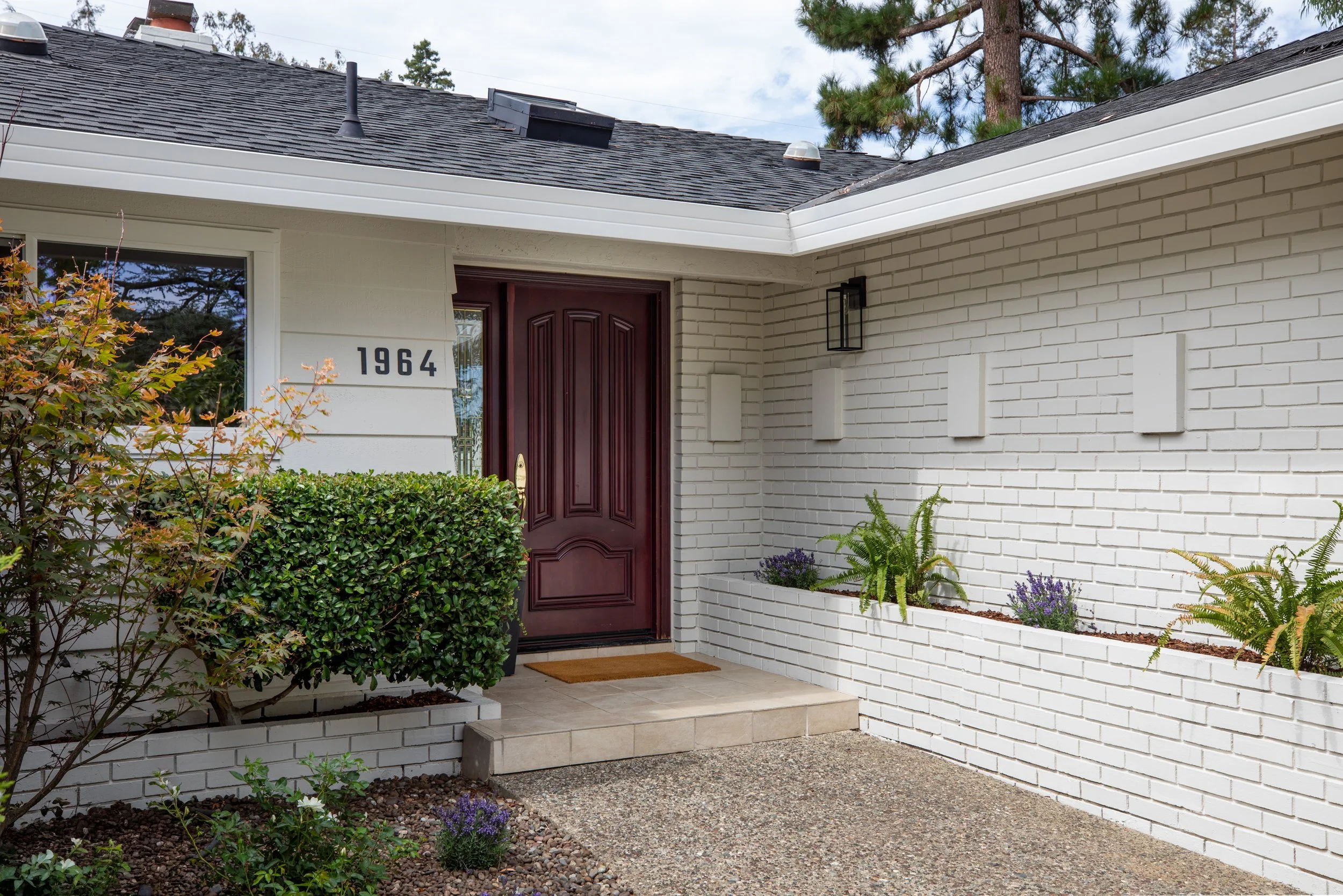 3-Deodara_Matt_Anello-7549-MLS.jpg