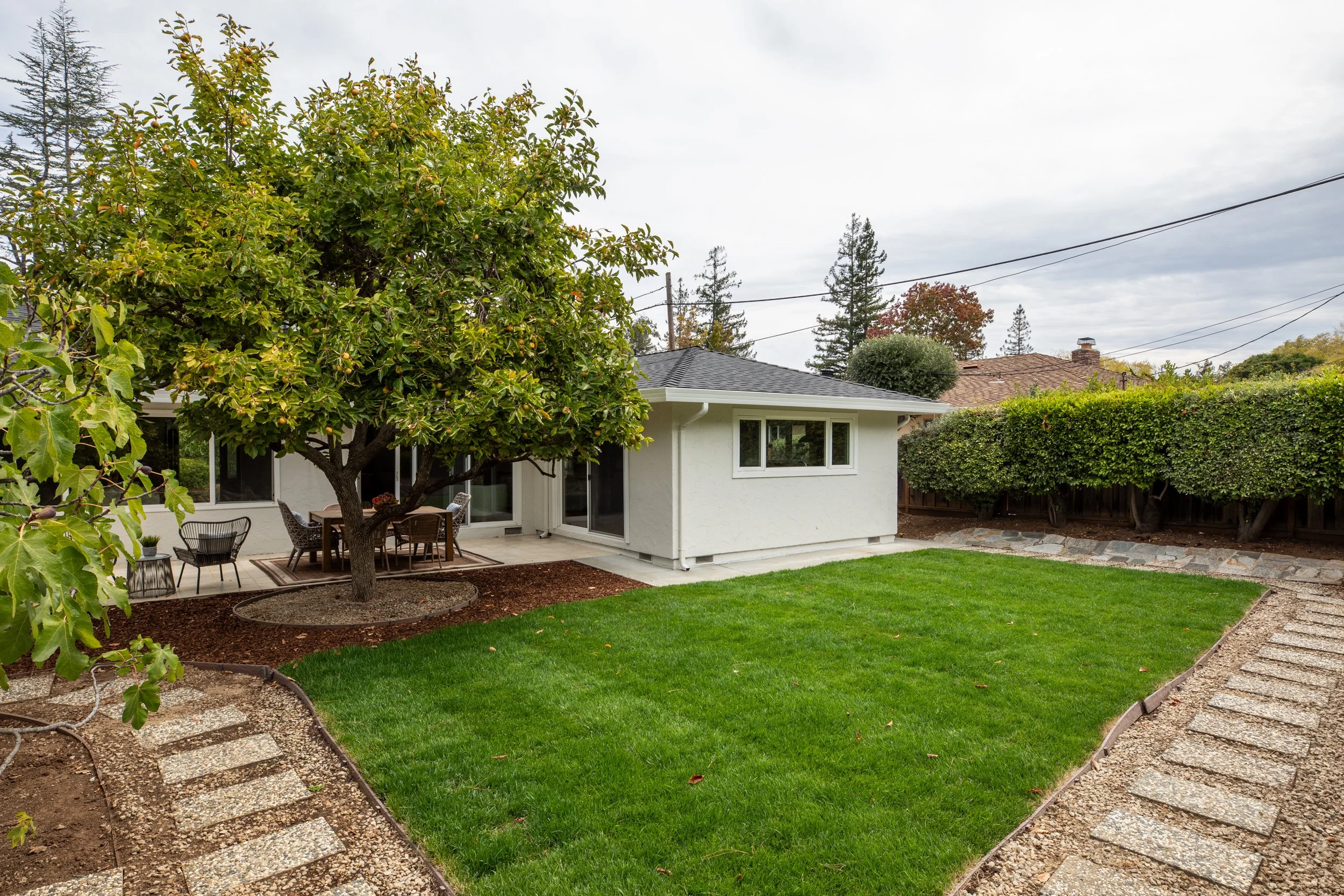 29-Deodara_Matt_Anello-7664-MLS.jpg