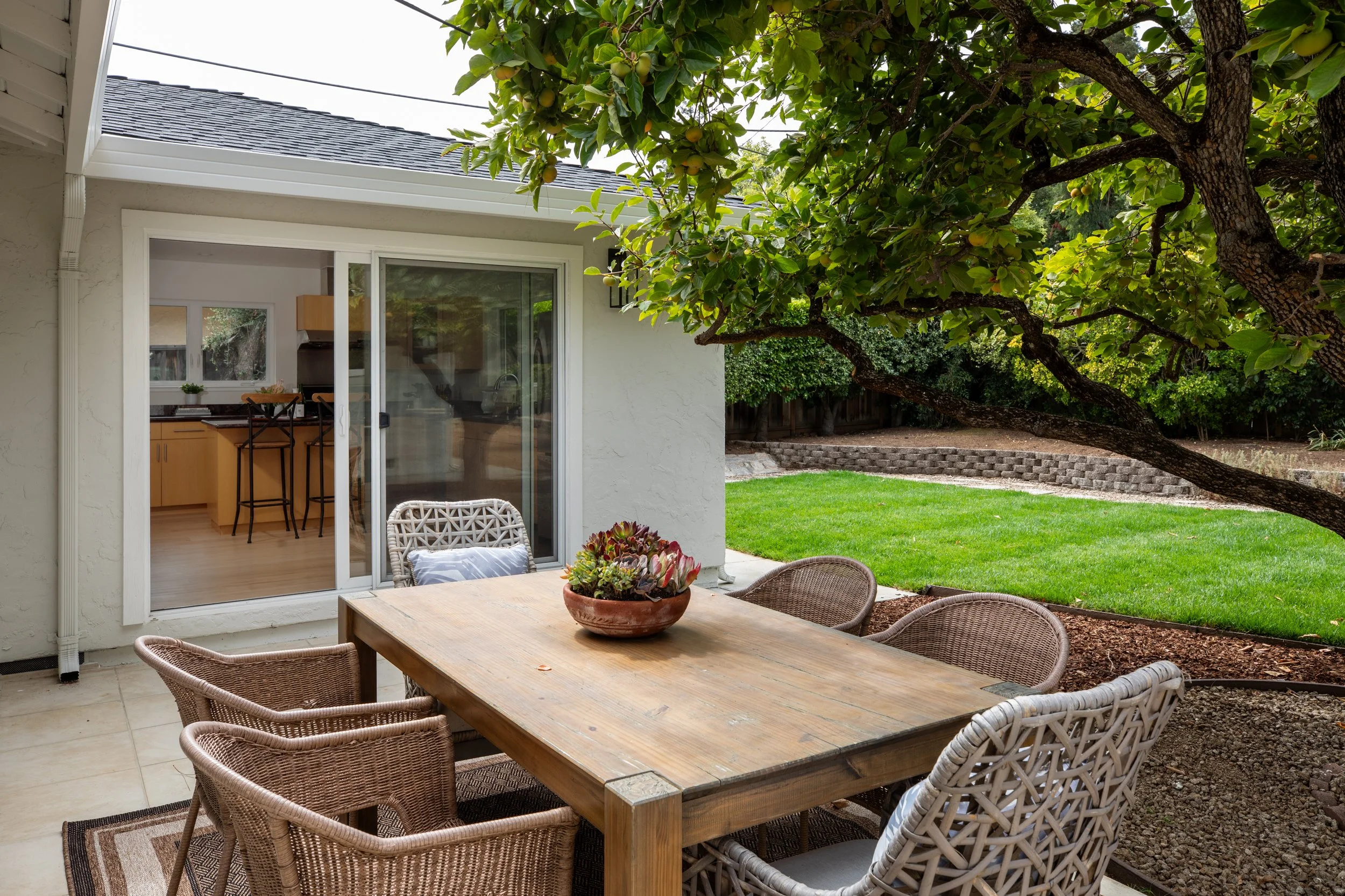 24-Deodara_Matt_Anello-7612-MLS.jpg