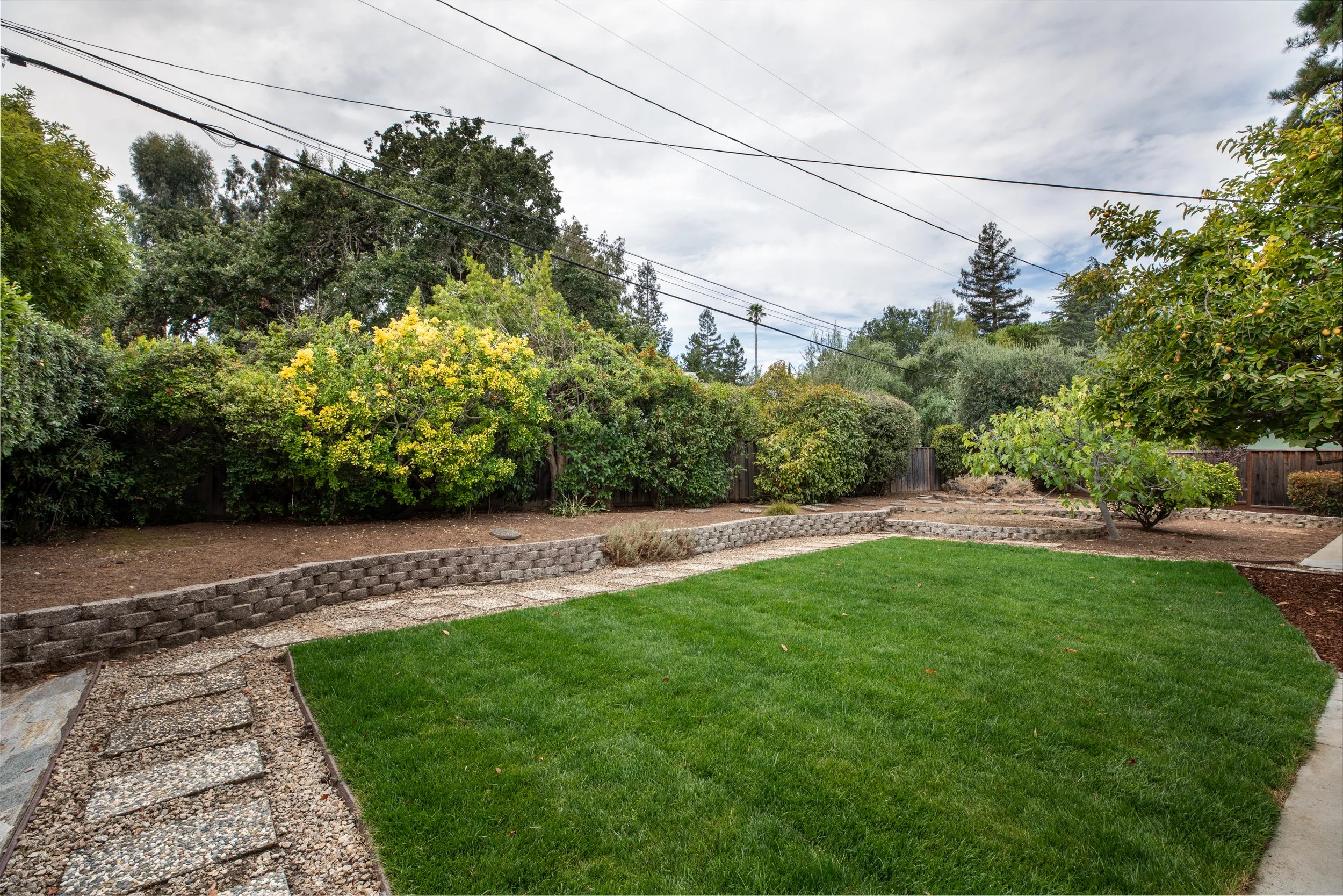 27-Deodara_Matt_Anello-7661-MLS.jpg