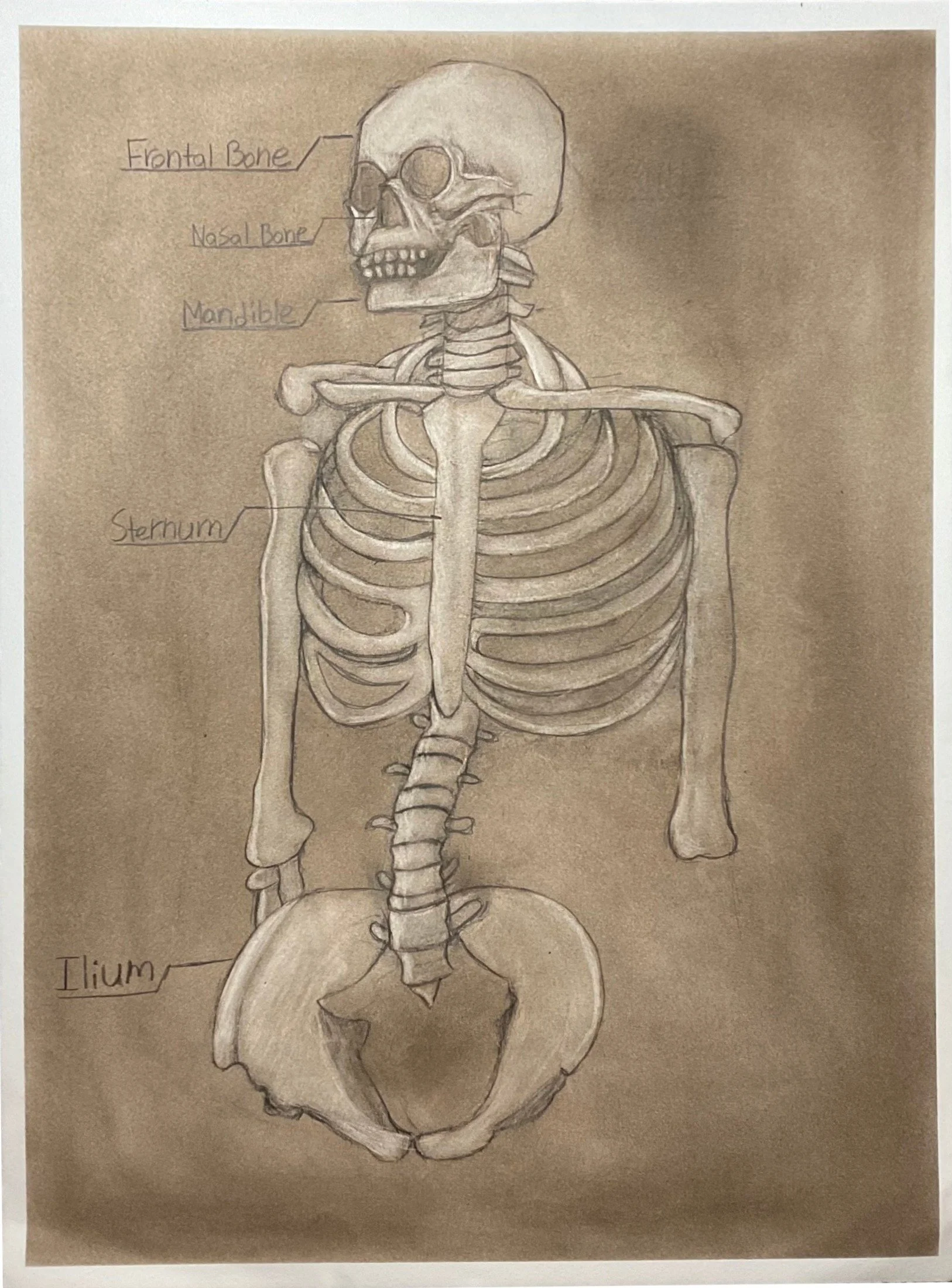 SAV_202420_FOUN_DRAW200_RebekahLawrence_OracleBones.jpg