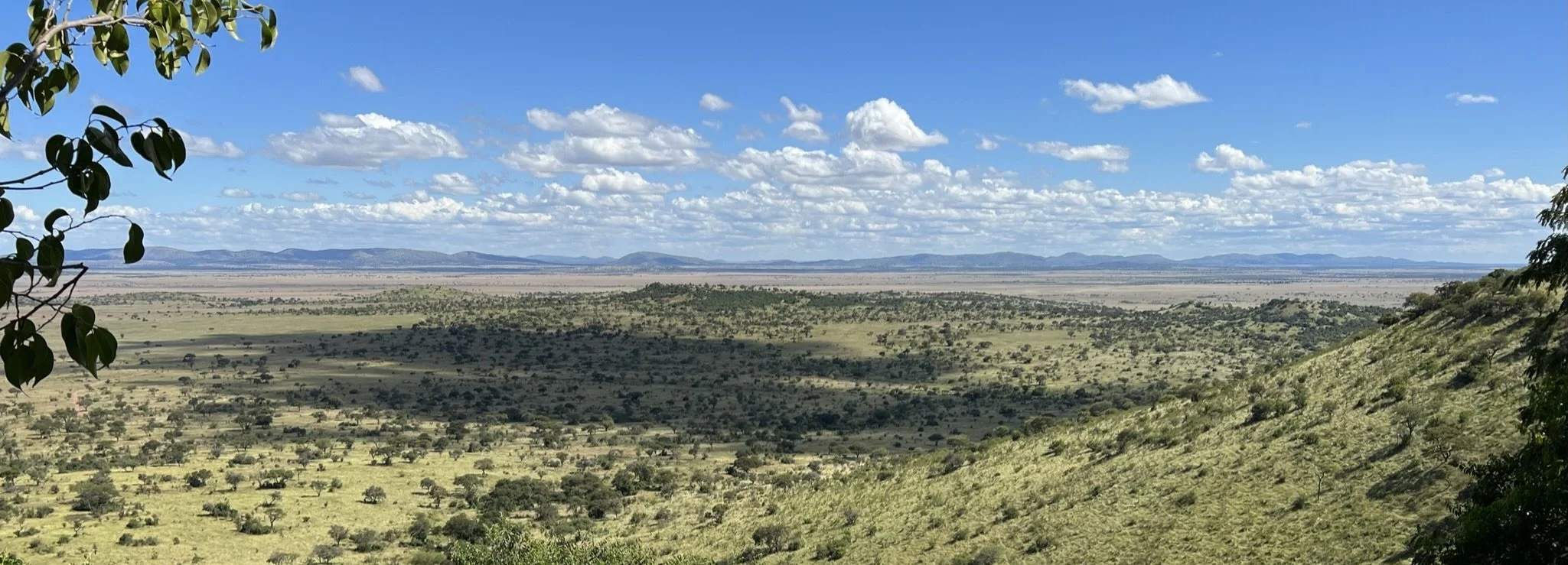 A vast landscape with rolling hills and grasslands, scattered trees, distant mountains, partly cloudy blue sky, and shadows from nearby trees in the foreground.