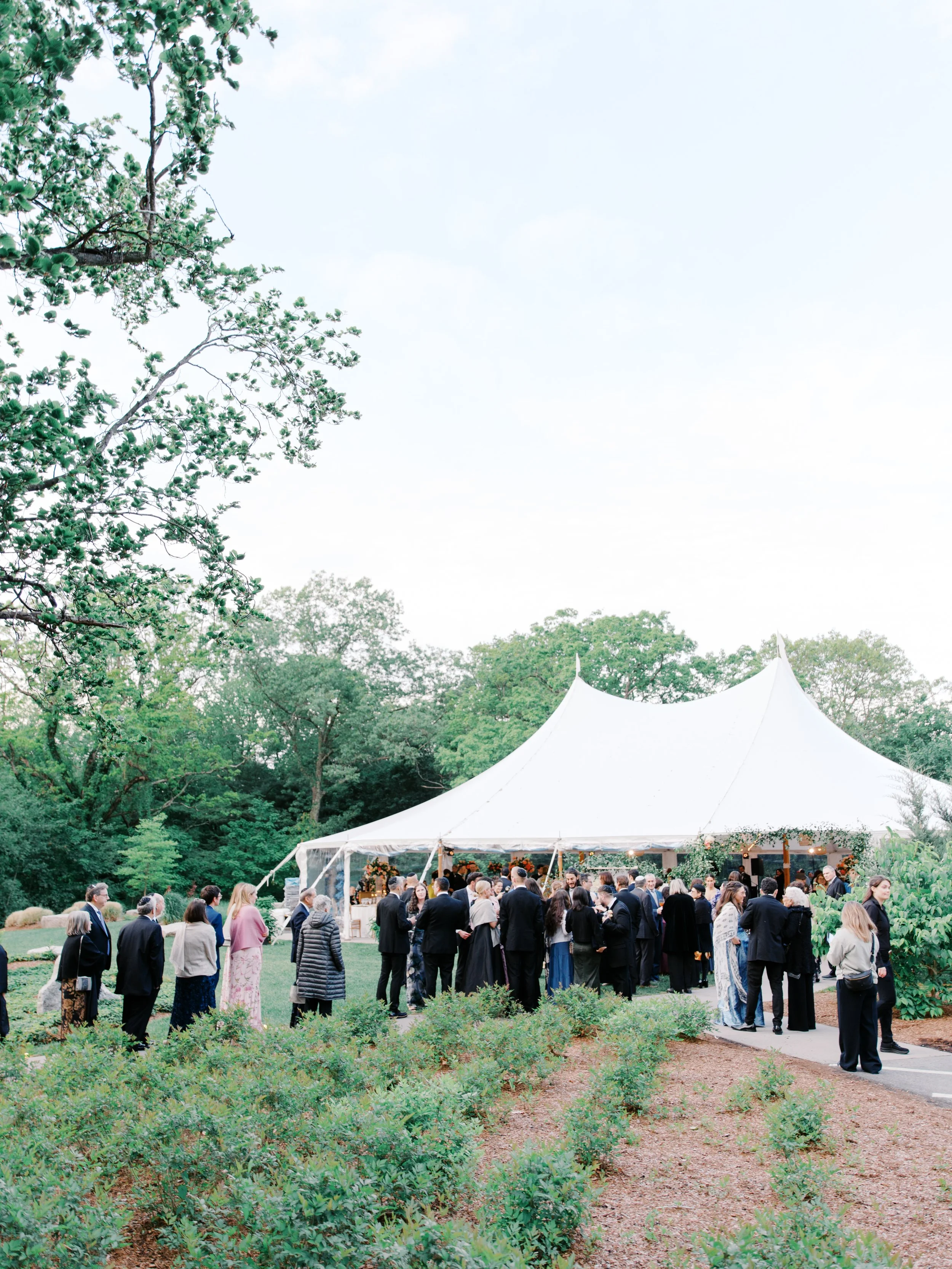 Guests gather on the lawn in front of the tent at deCordova Sculpture Park