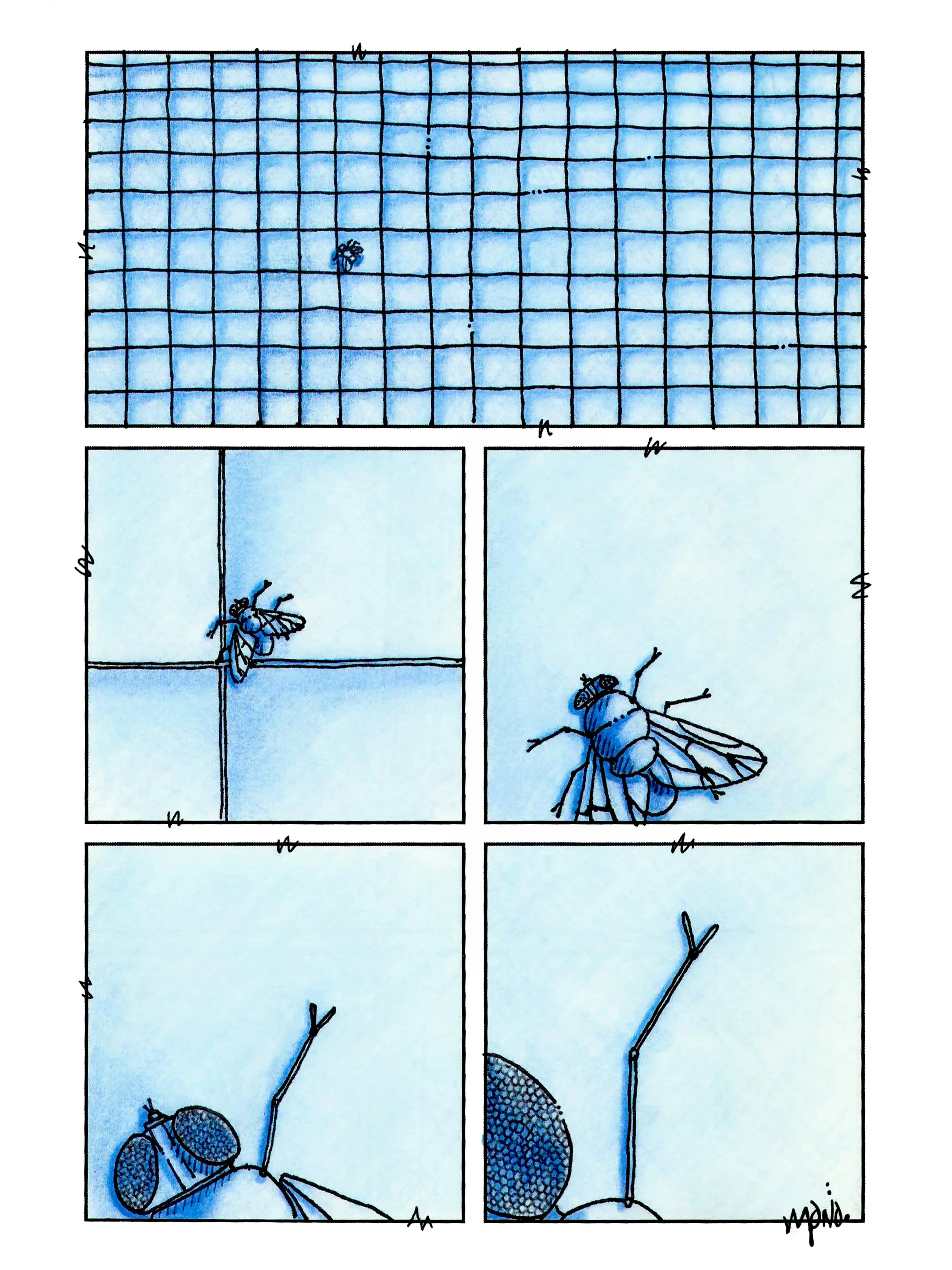 Fly in the Infinate Space.jpg