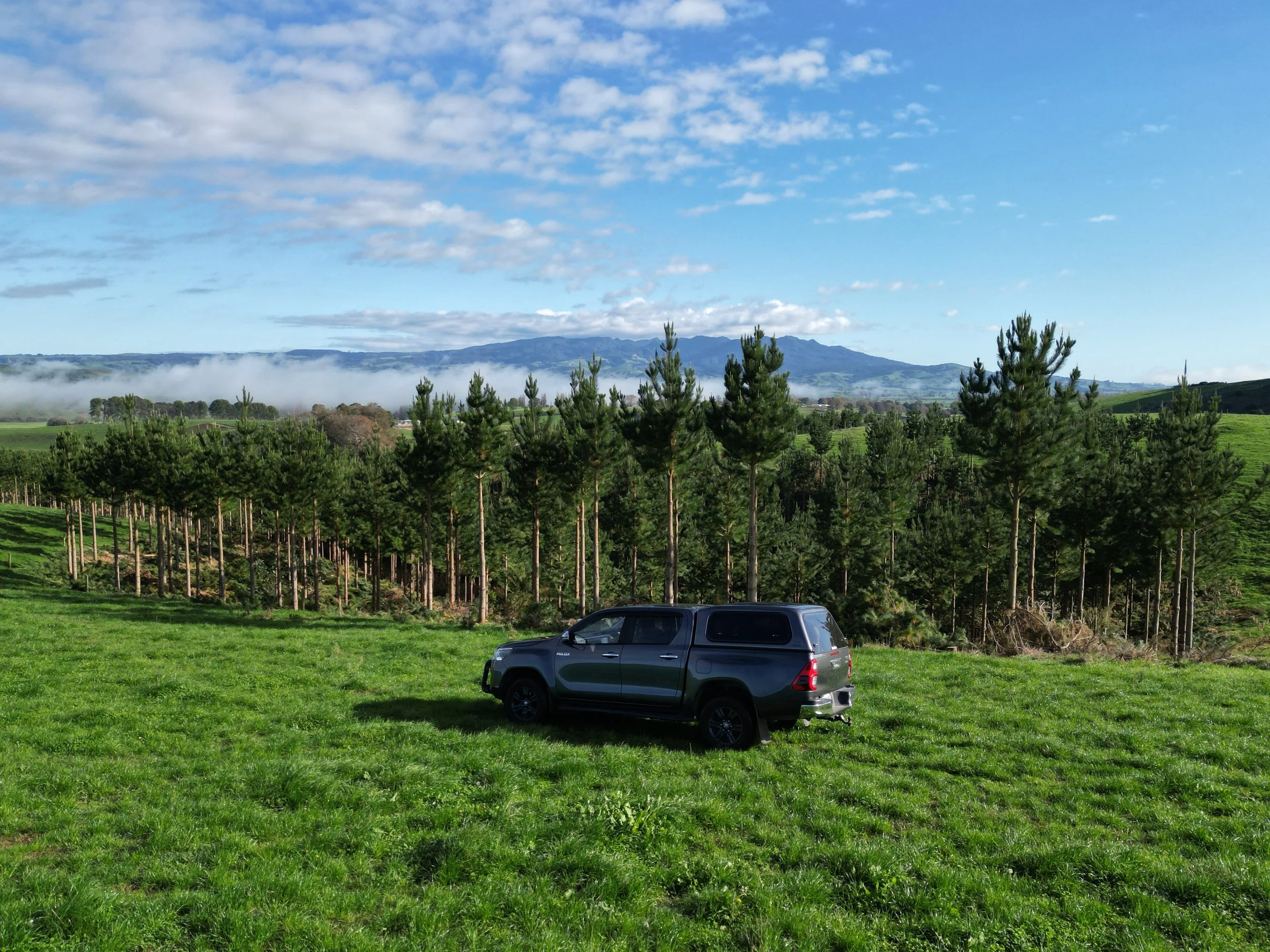 Forestry site visit beside radiata pine forest in Waikato, New Zealand