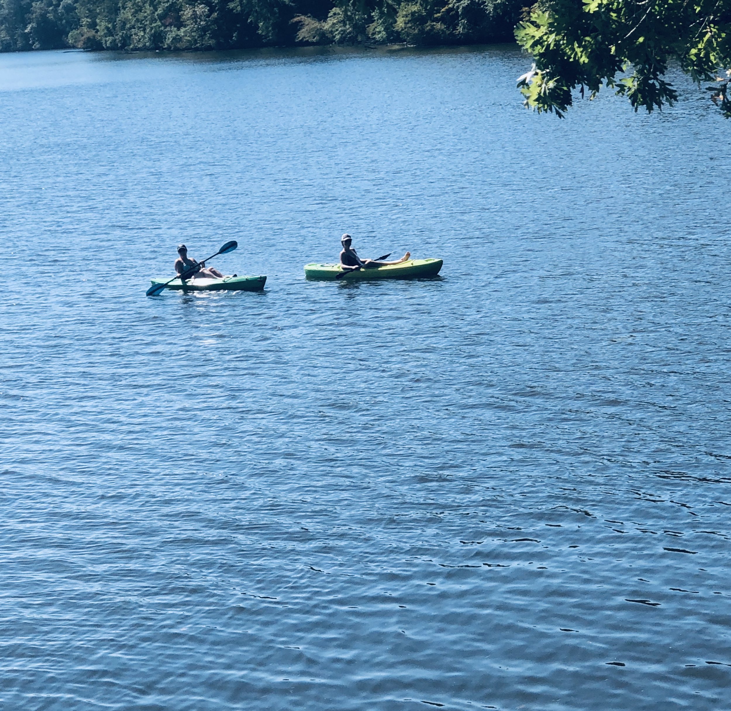 Two people kayaking on a calm lake with trees along the shoreline and a clear blue sky.