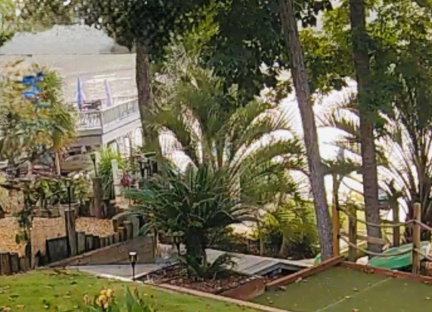 Garden area with tropical trees and bushes, including palm trees, near a house with an outdoor deck and stairs. There is a small path and a lawn with yellow flowers.