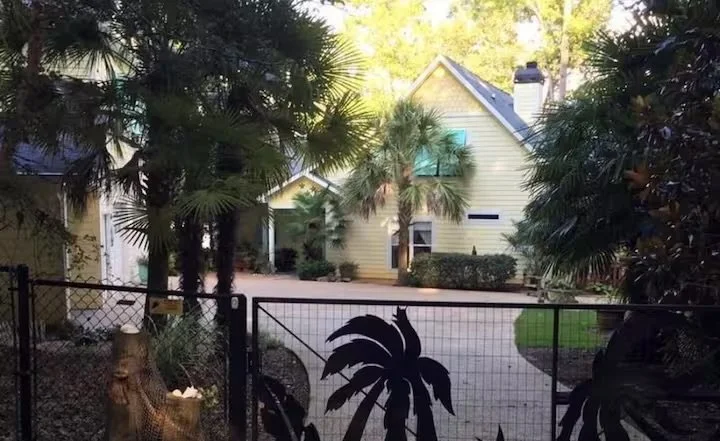 Yellow house with white trim surrounded by palm trees, viewed through a black fence with a silhouette of palm trees painted on it.