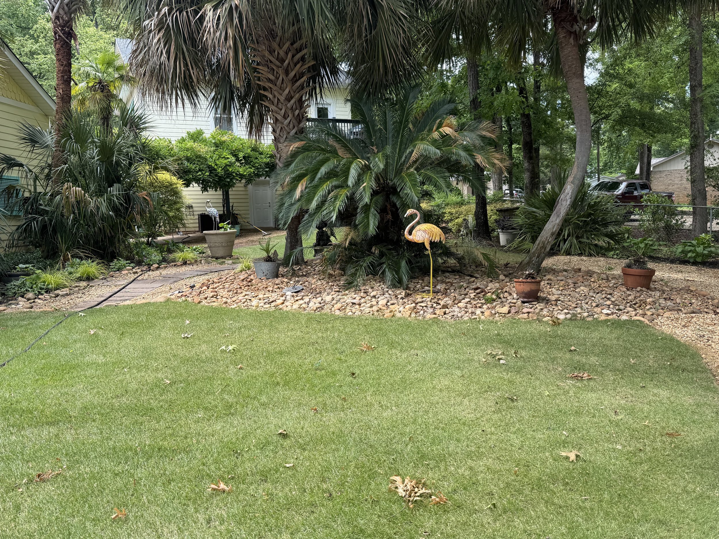 A backyard garden with lush green trees, palm plants, and shrubbery. There are decorative flamingo lawn ornaments, a potted plant, a garden hose, and a pathway made of stones. A house with yellow siding and a white door is visible in the background.