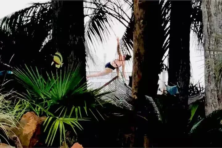 Person practicing yoga on a hammock in a lush tropical forest.