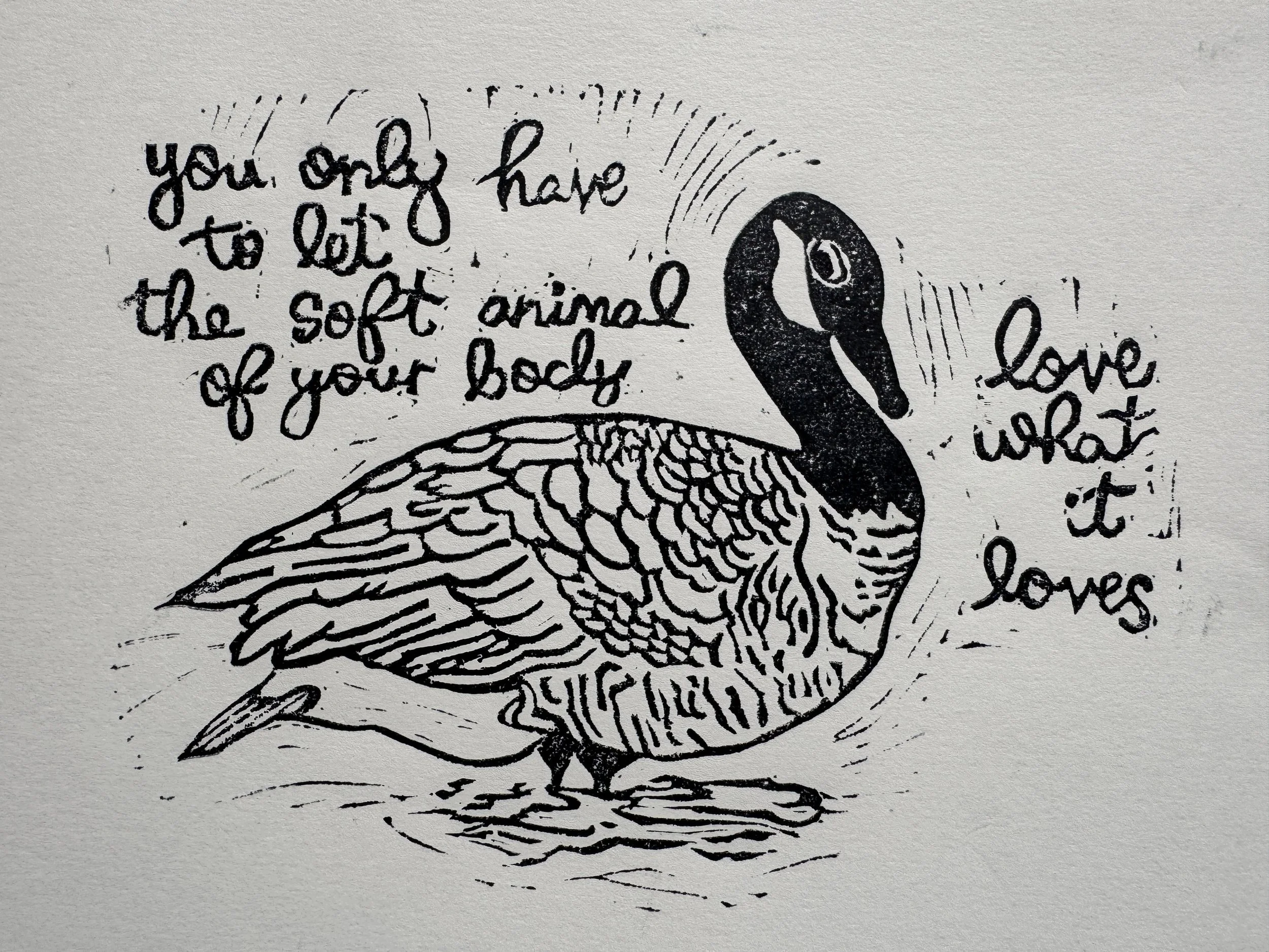 Soft Goose