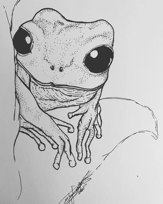 Tree Frog