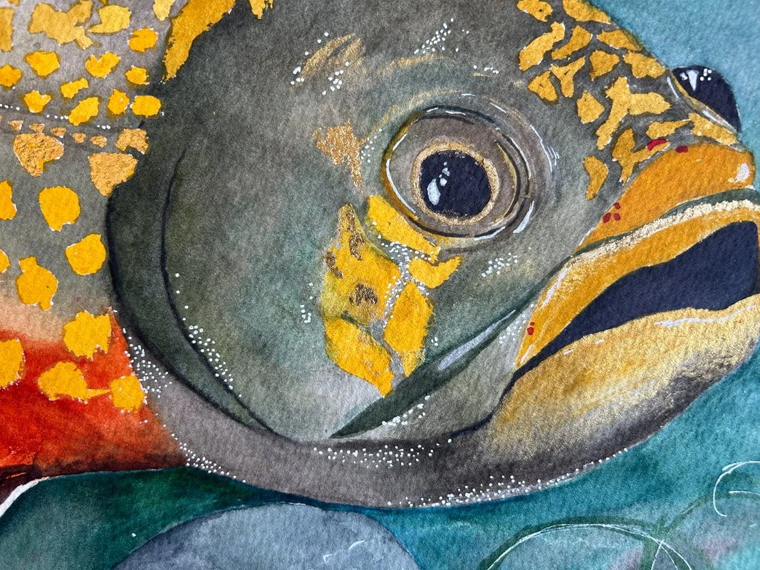 brook-trout-mm-2.jpg