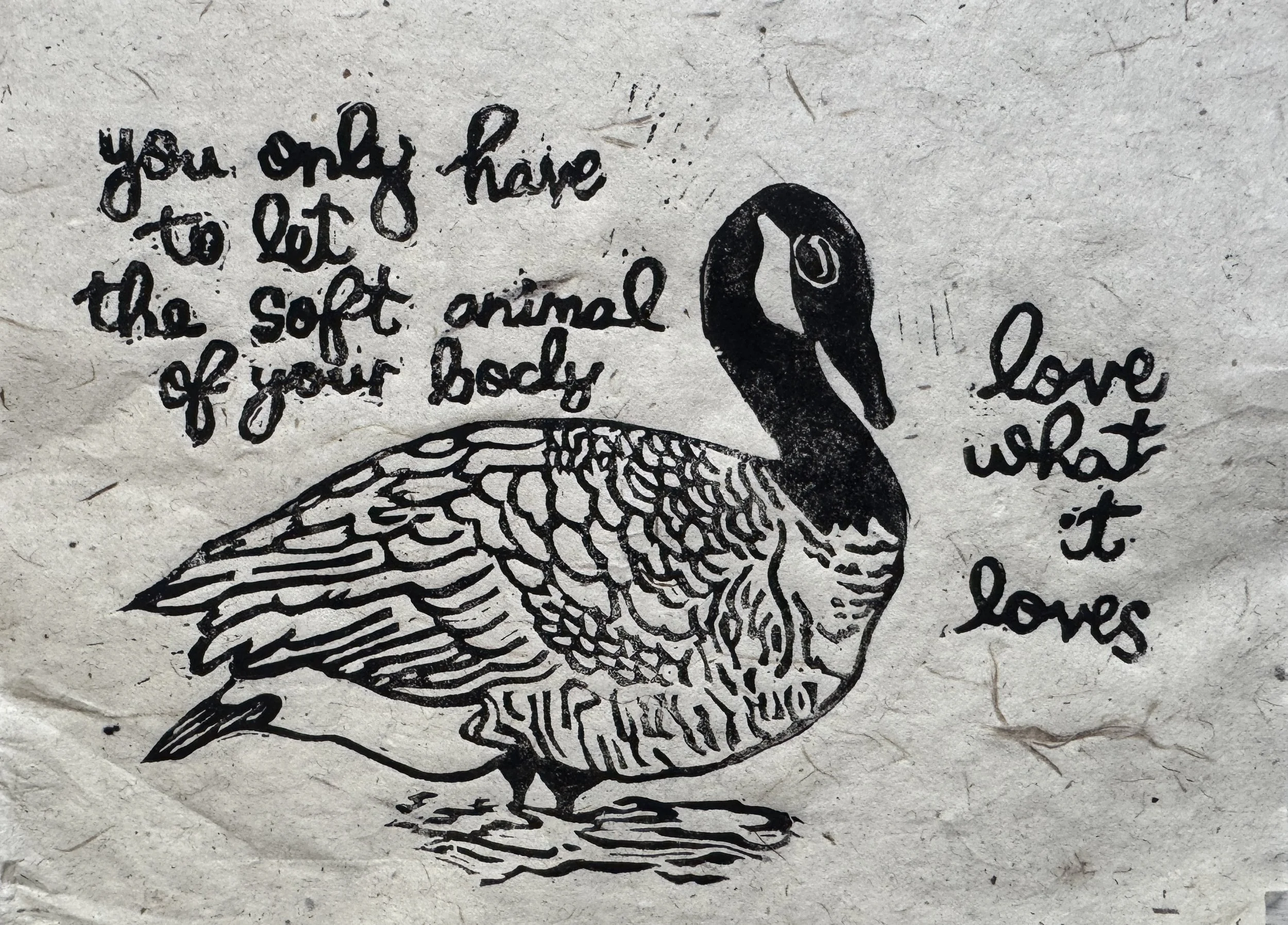 Soft Goose on Mulberry Paper