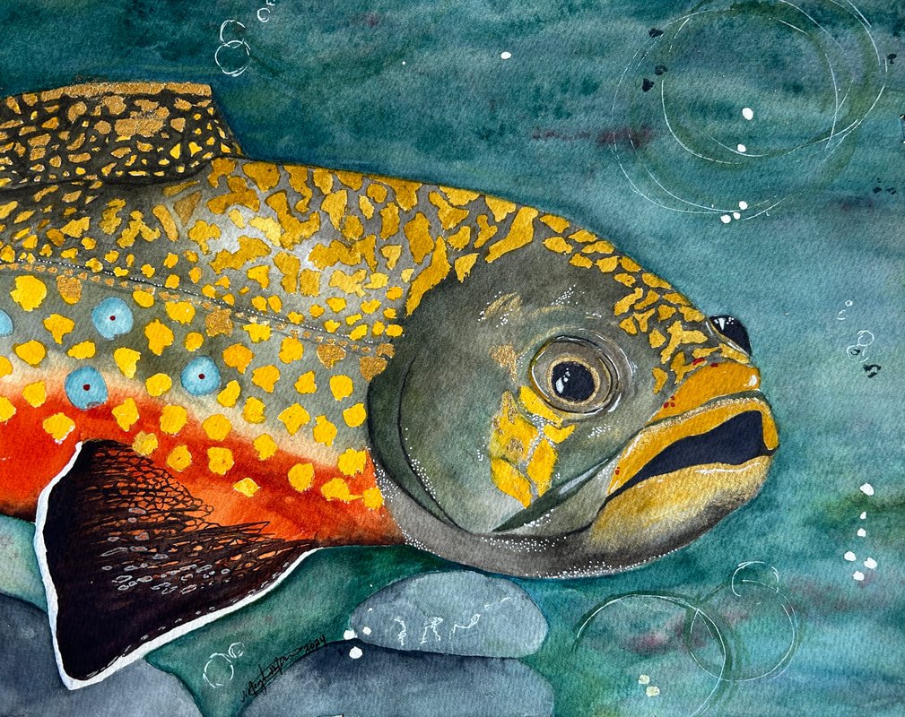 Brook Trout