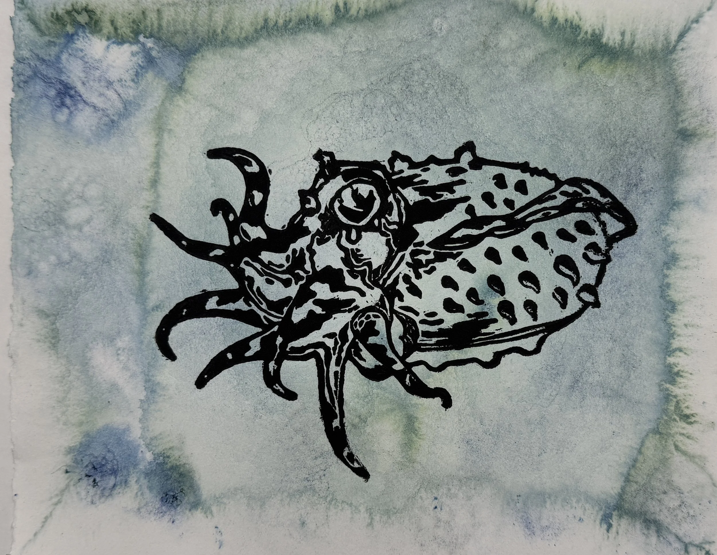 Dance of the Cuttlefish