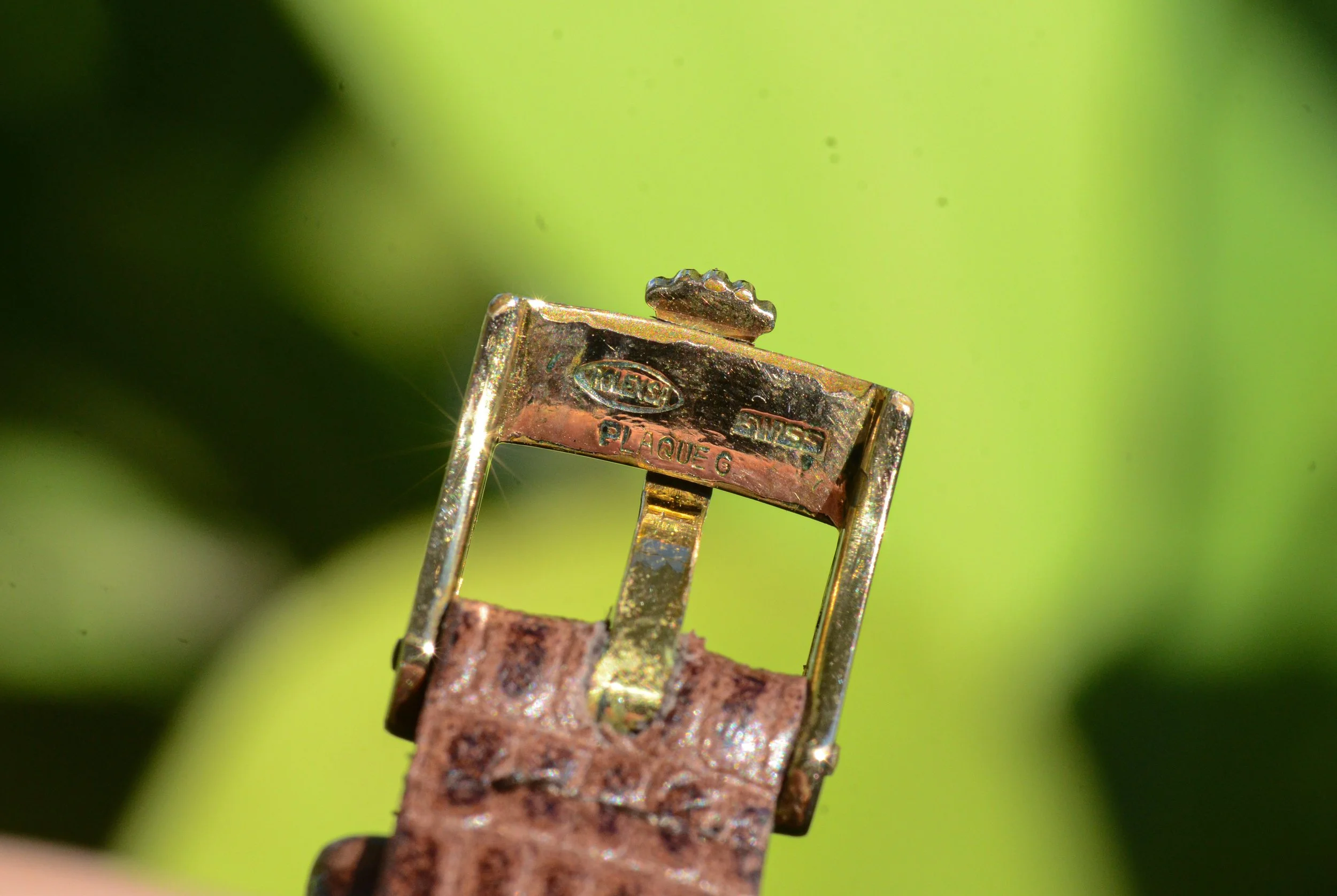 DSC_8237.JPG