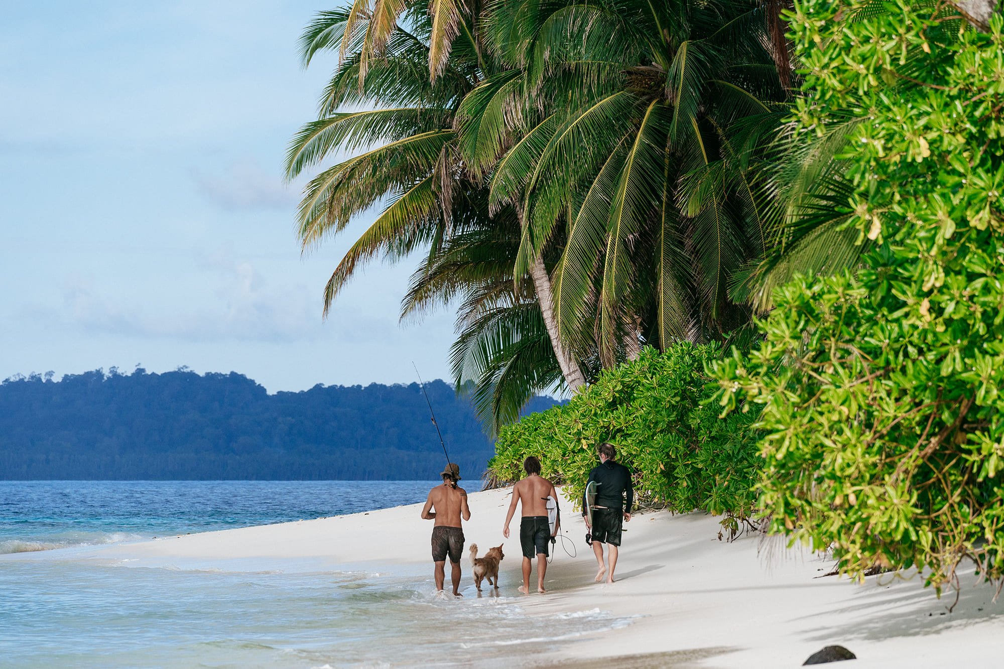 A family walks along a palm lined beach near Tanah Mympi, with a dog trailing behind them.