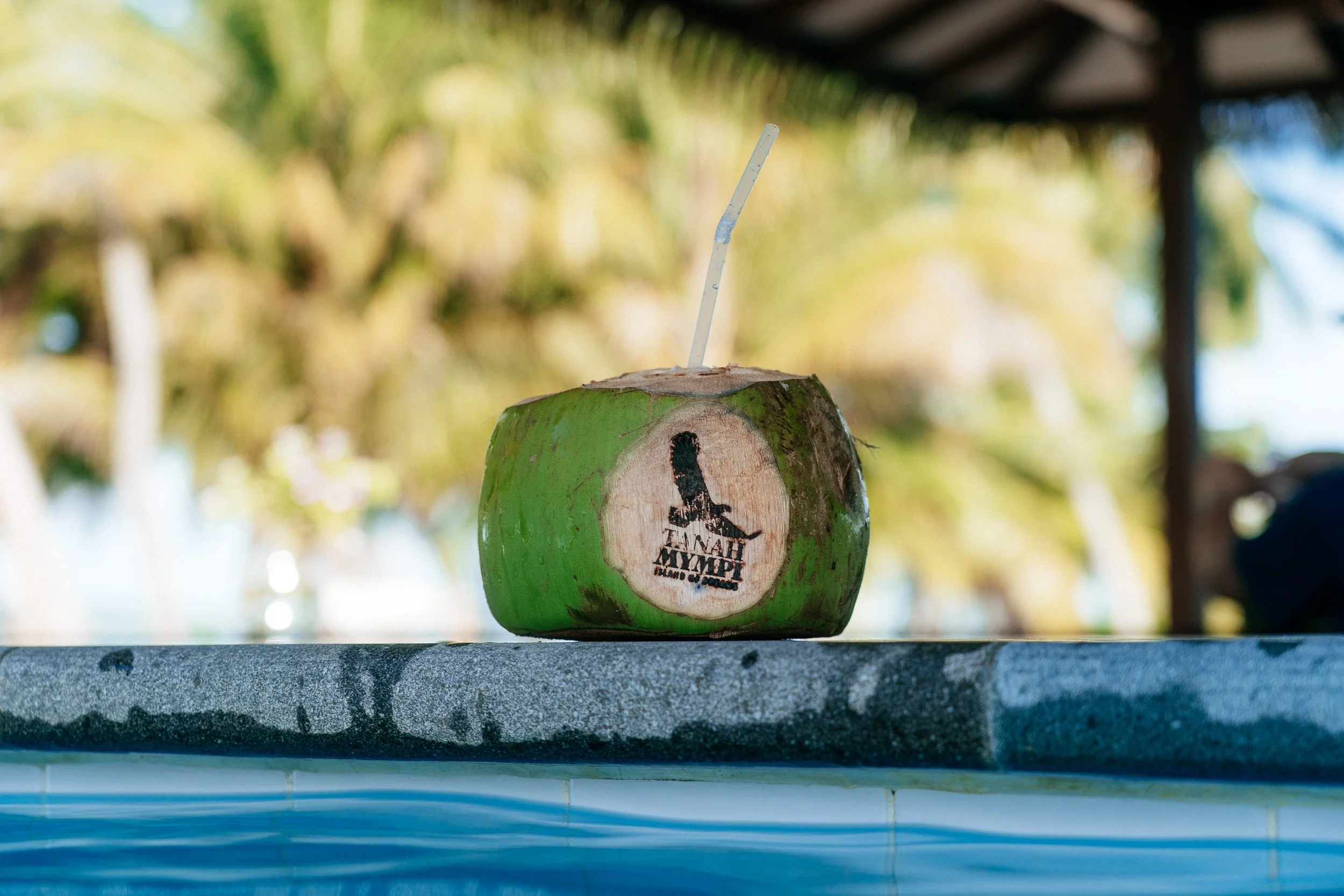 A coconut drink stamped with the Tanah Mympi logo sits on the edge of the resort's pool bar.