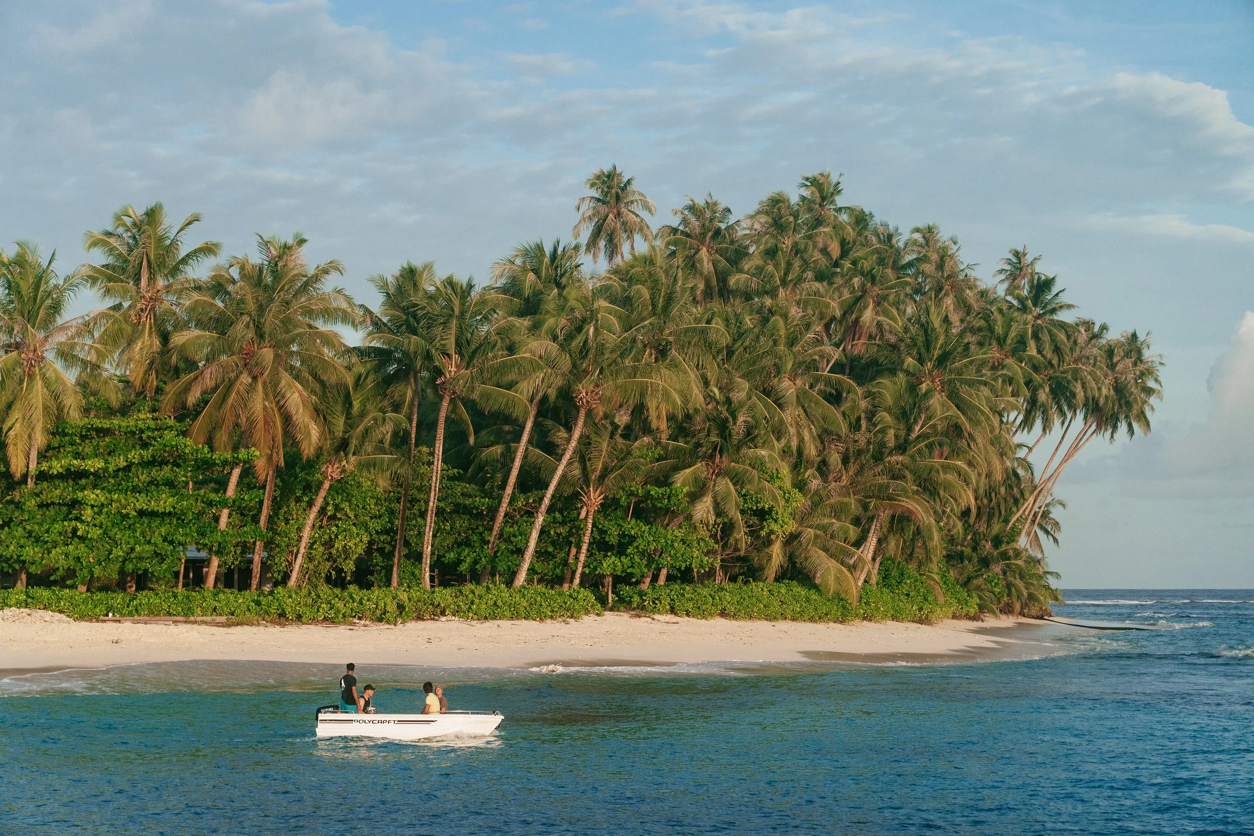 A tropical view of Tanah Mympi's island, shoreline and vegetation visible.