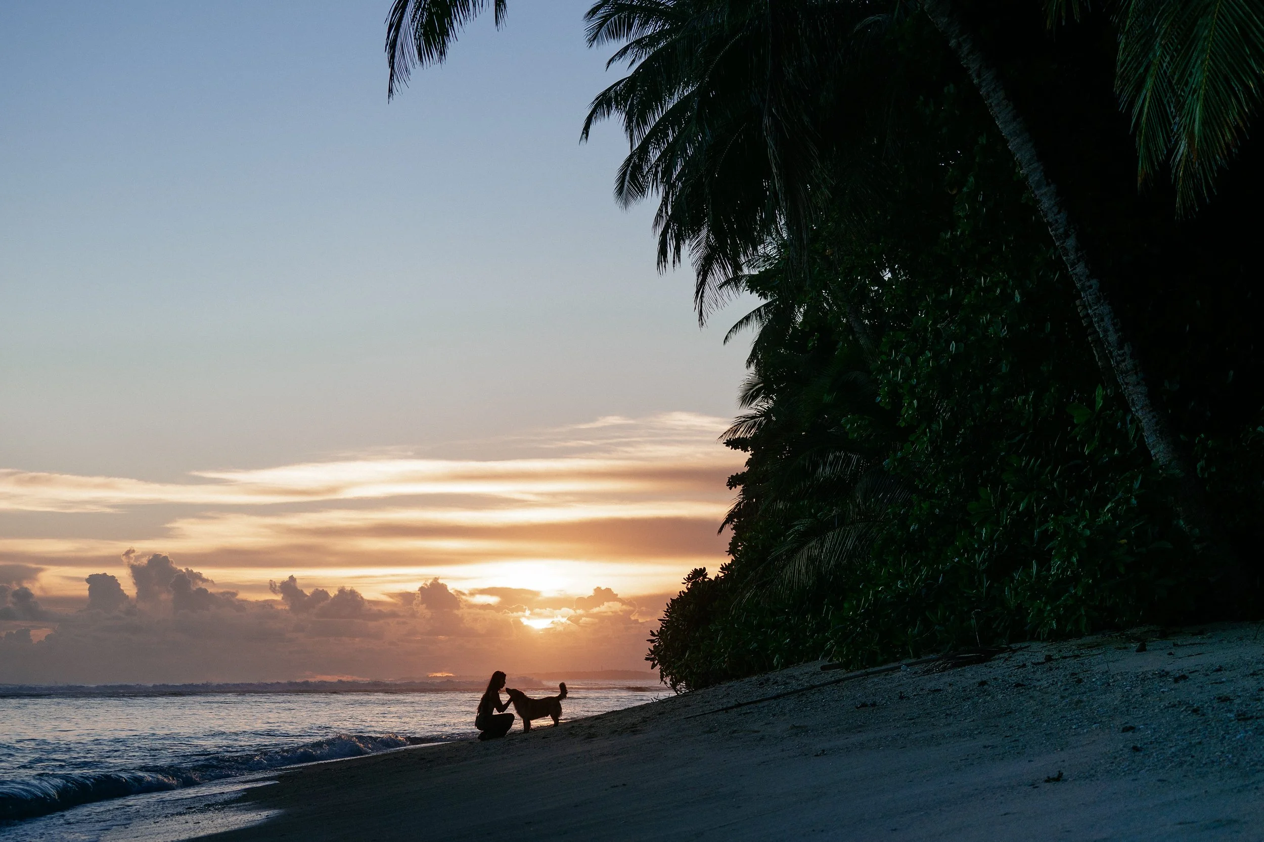 A guest and a dog walk the beach at Tanah Mympi at sunset.
