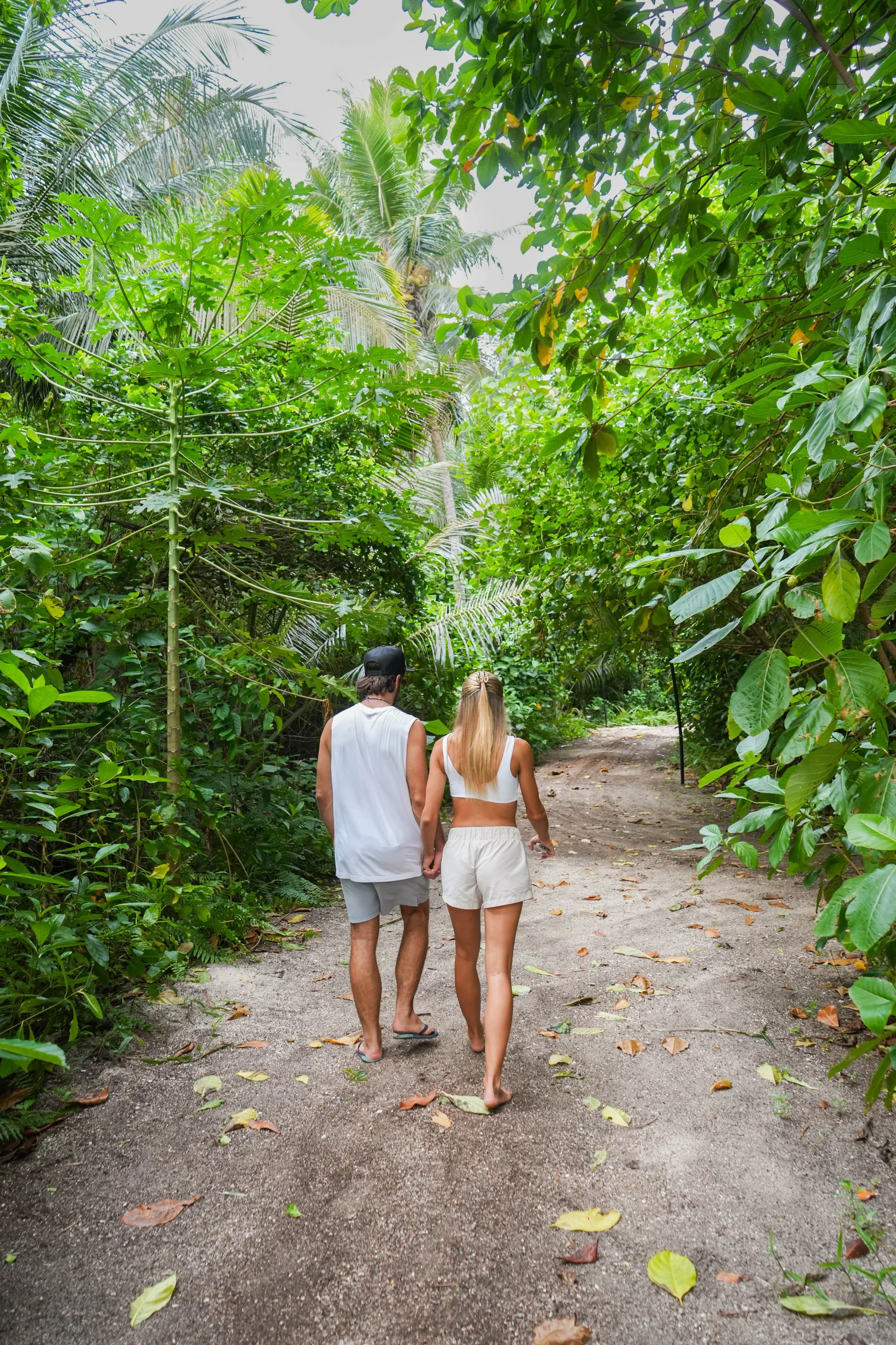 Couple walks in the forest canopy.