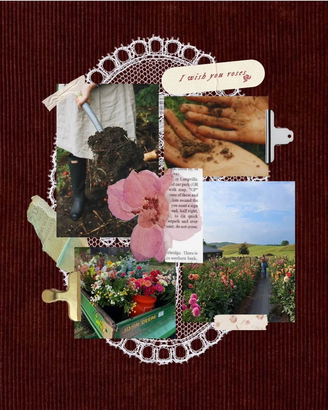 Something I&rsquo;ve indulged in while planning this flower farm over the past three years has been collecting inspiration and making mood boards. Here are a few of the things I&rsquo;ve been adding to my inspiration folder lately for Rooftop Roses ?