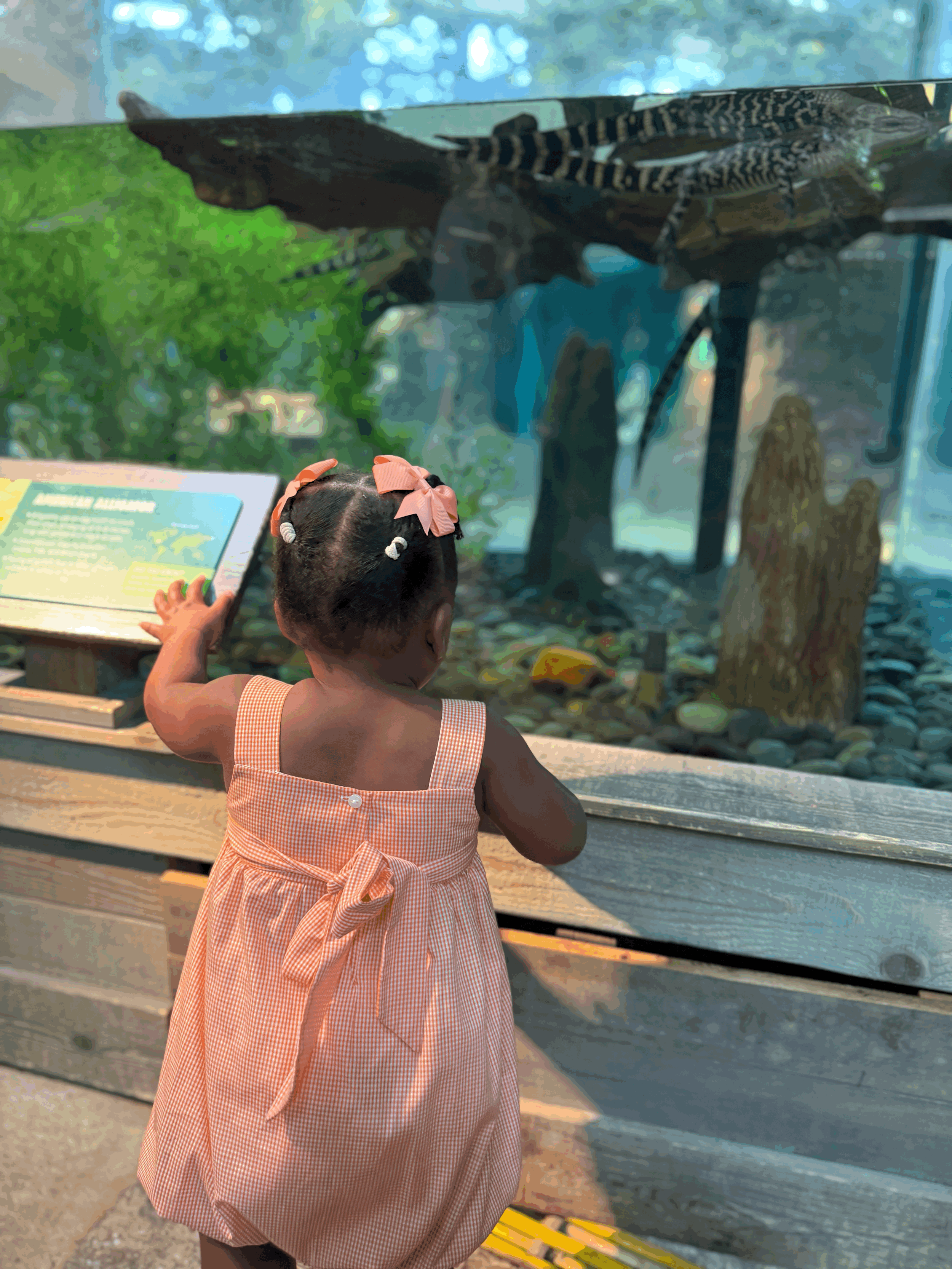 Free NOLA Resources &amp; Play for Local Families