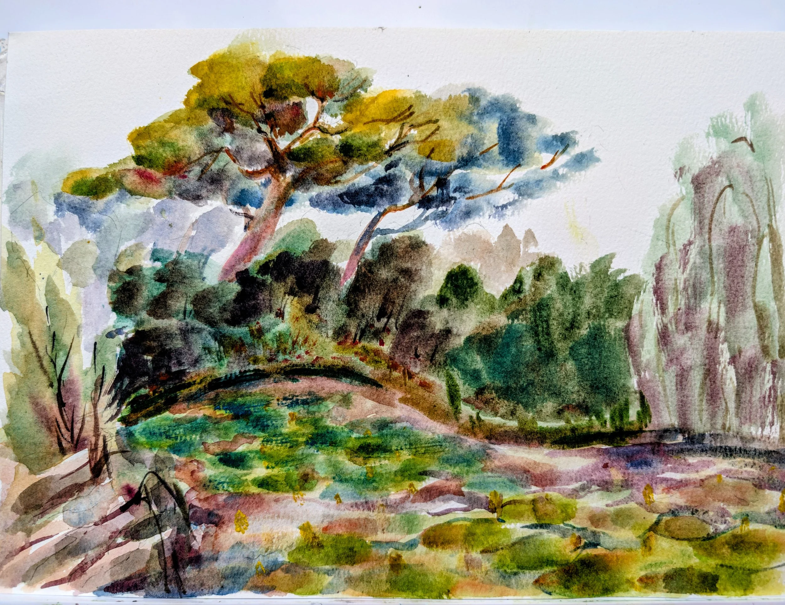 Plein Air Paintings