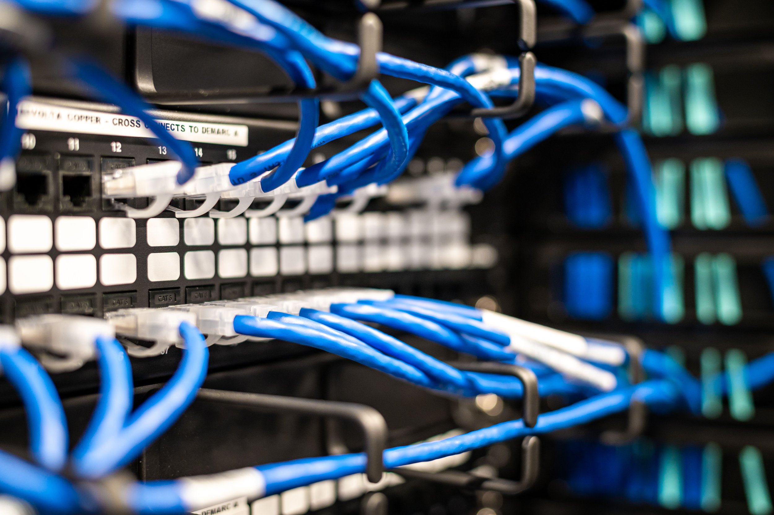 A close-up view of a computer server rack with multiple blue Ethernet cables connected to it.
