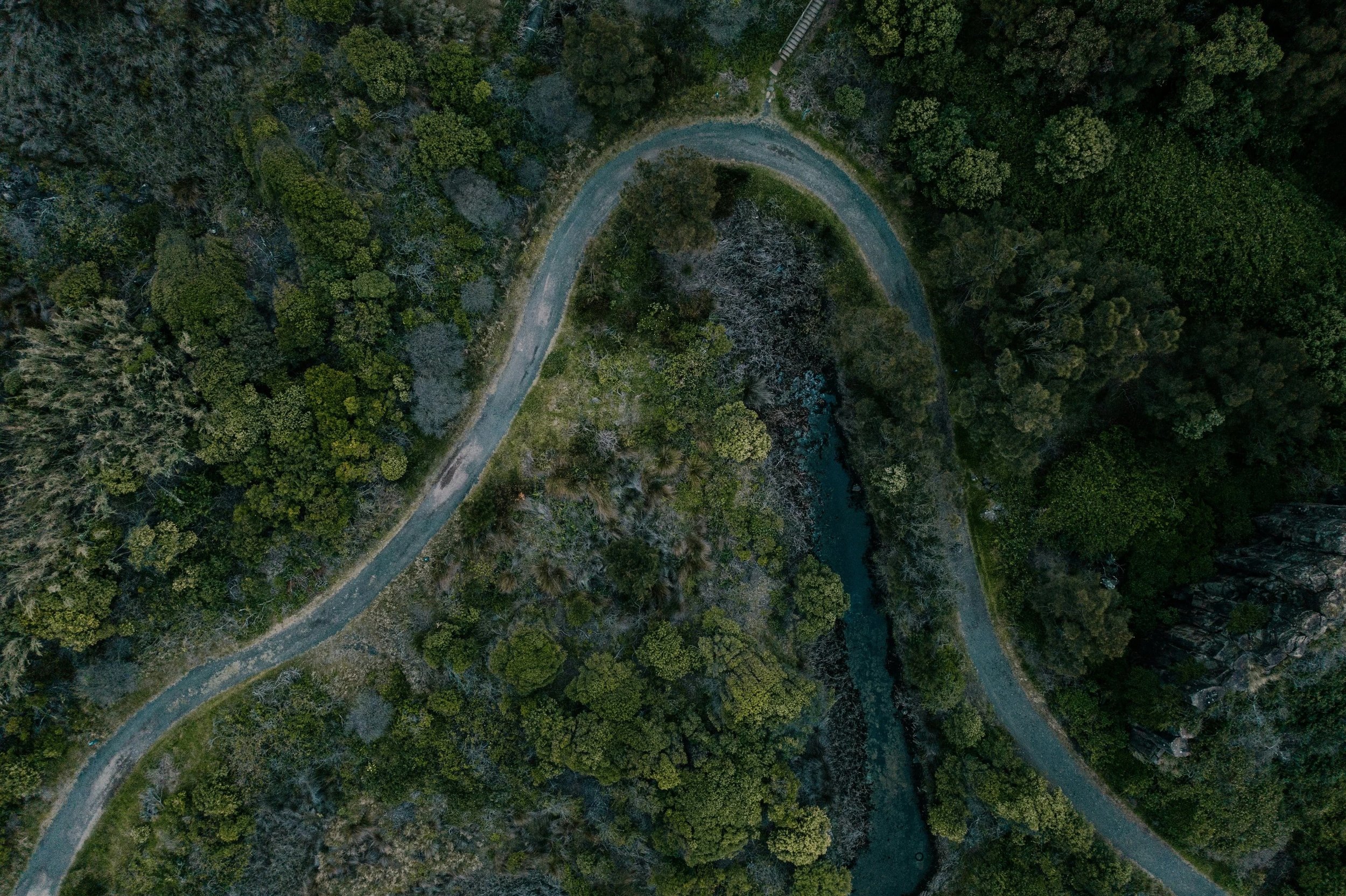 Aerial view of a winding road through an Australian forest with dense green trees, representing navigating family law in Australia.