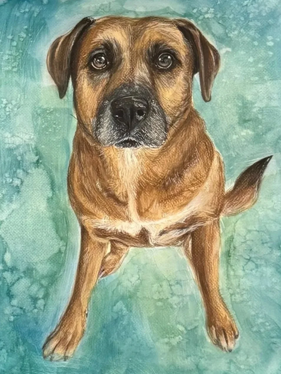 A realistic painting of a brown dog with a white patch on its chest, sitting on a textured teal background.