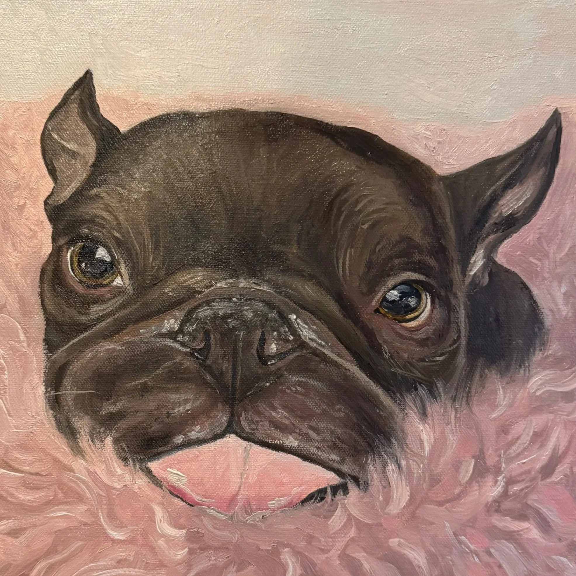 Close-up of a painted portrait of a French Bulldog with a pink background.